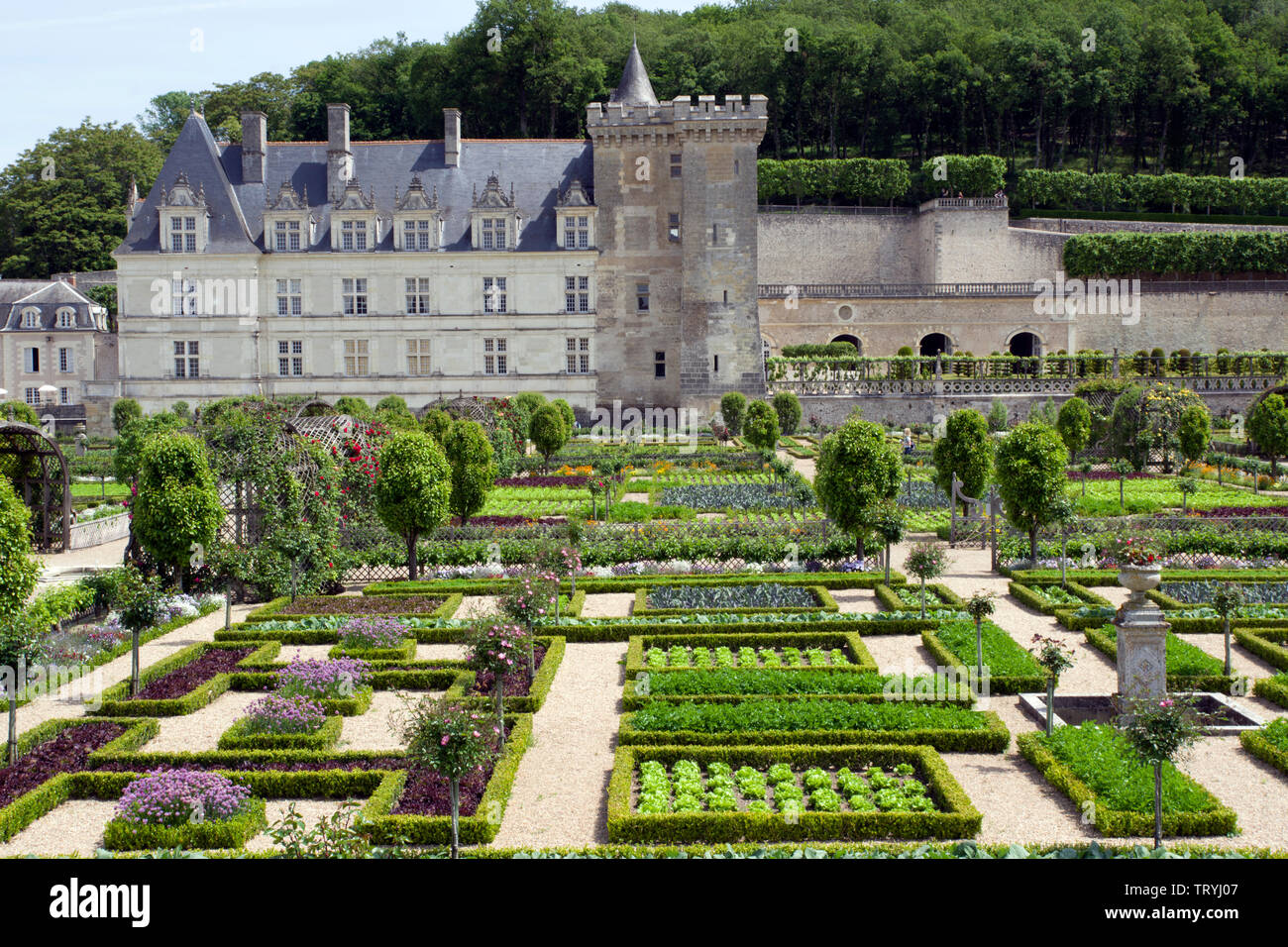 Chateau Villandry and the vegetable garden Stock Photo