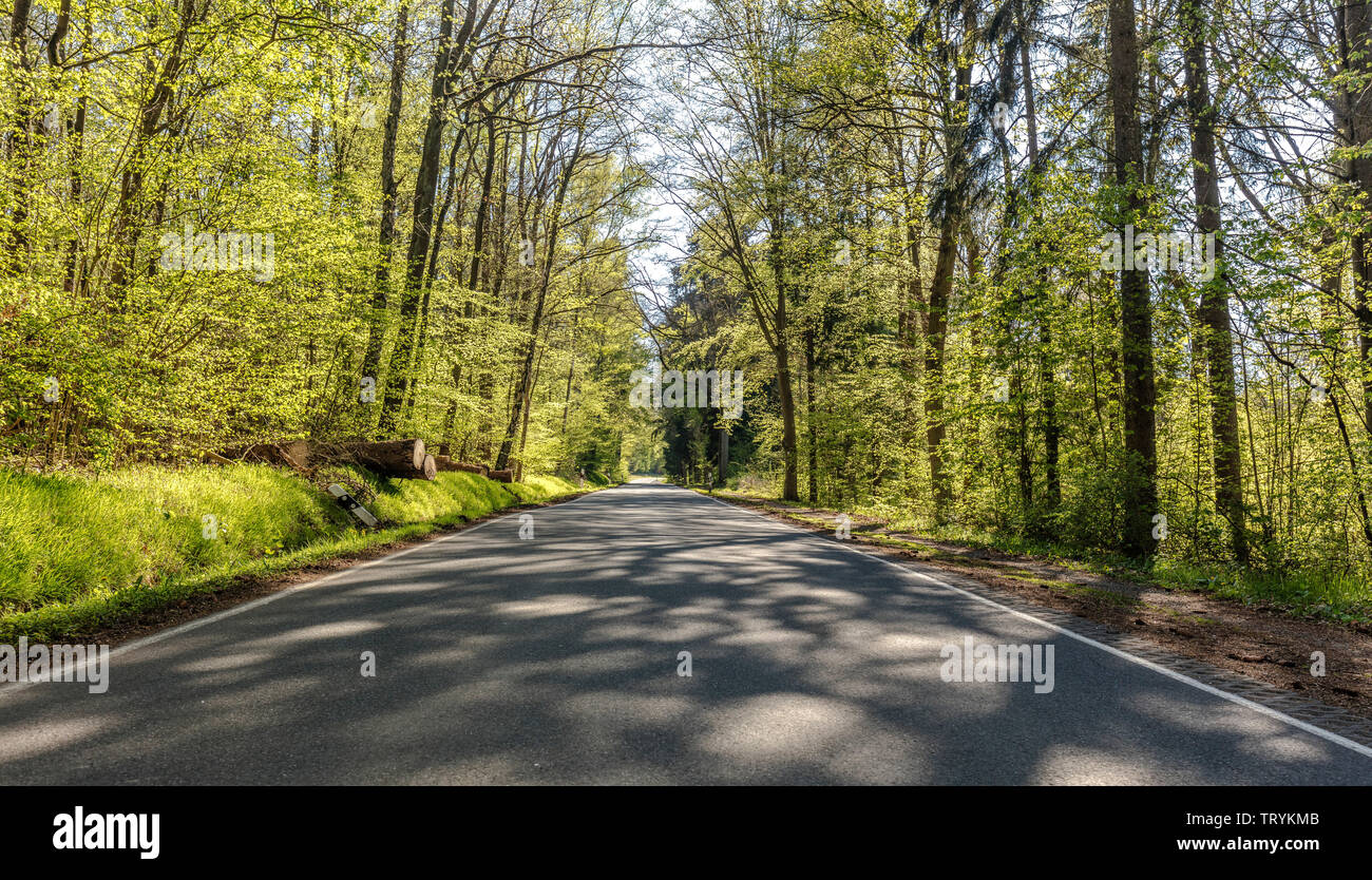 Country road through beech hi-res stock photography and images - Alamy