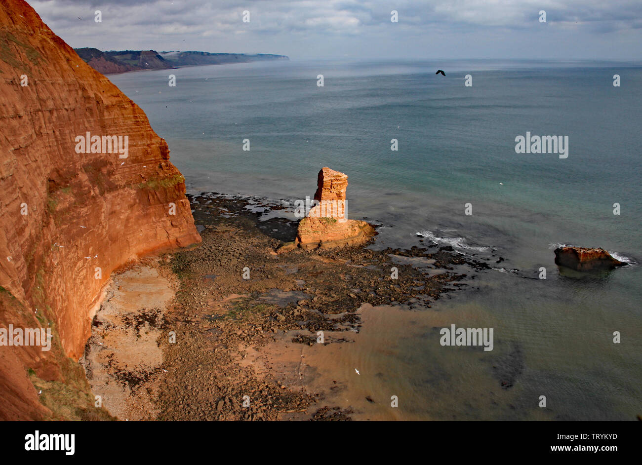 A sandstone sea stack at Ladram Bay near Sidmouth, Devon. Part of the south west coastal path. Stock Photo