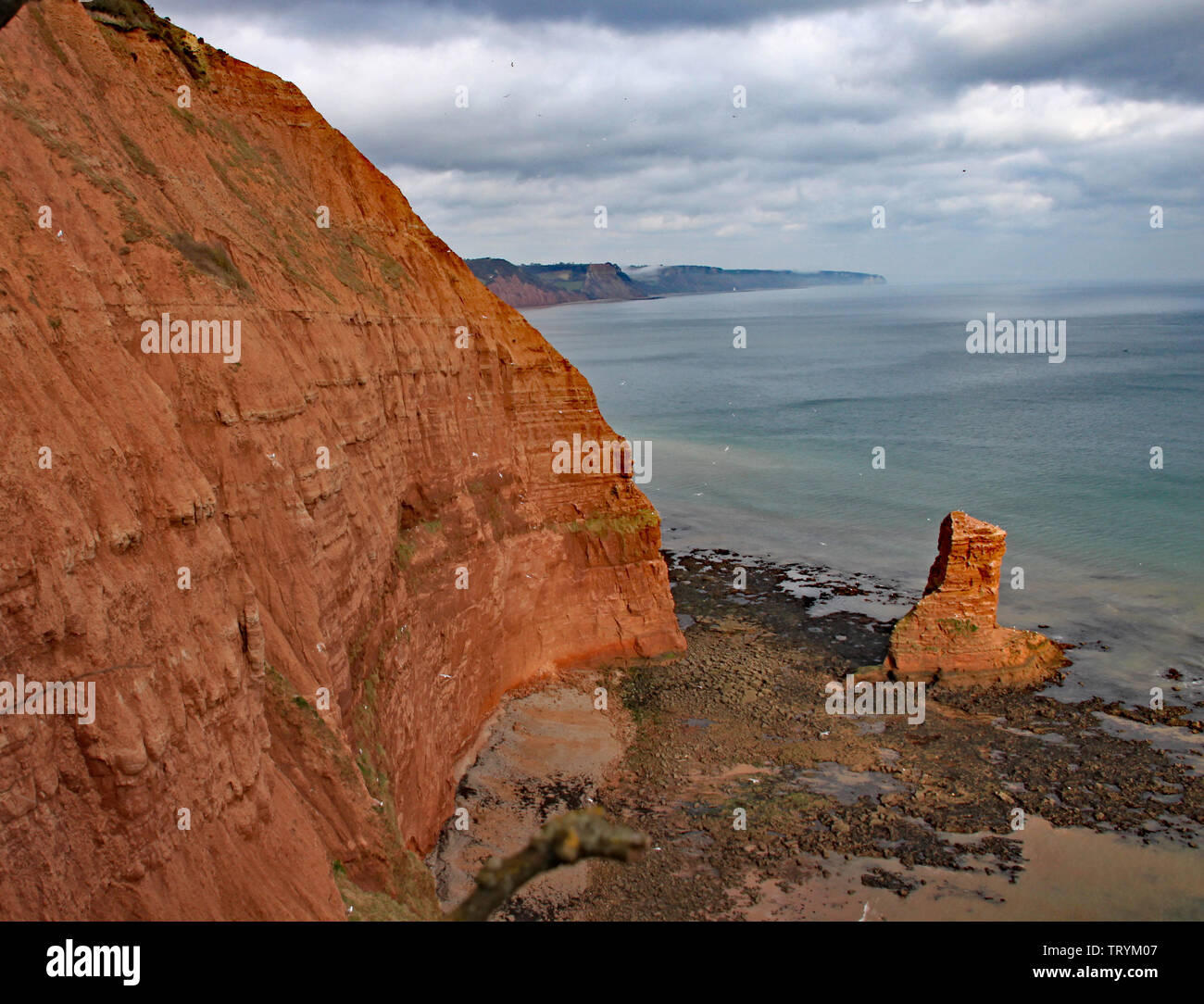 A sandstone sea stack at Ladram Bay near Sidmouth, Devon. Part of the south west coastal path. Stock Photo