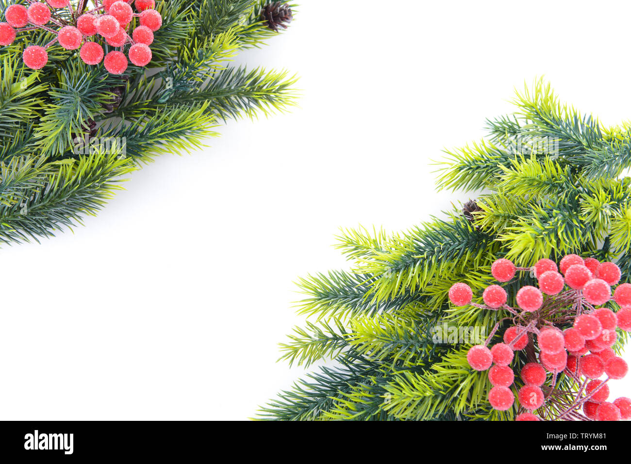 Christmas tree branches on white background Stock Photo - Alamy