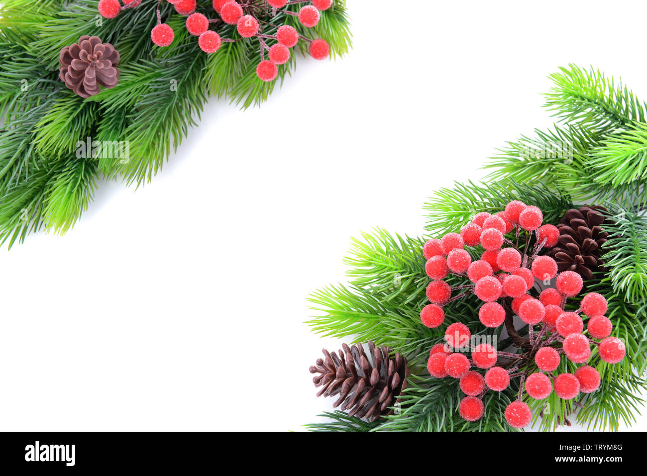 Christmas tree branches on white background Stock Photo - Alamy