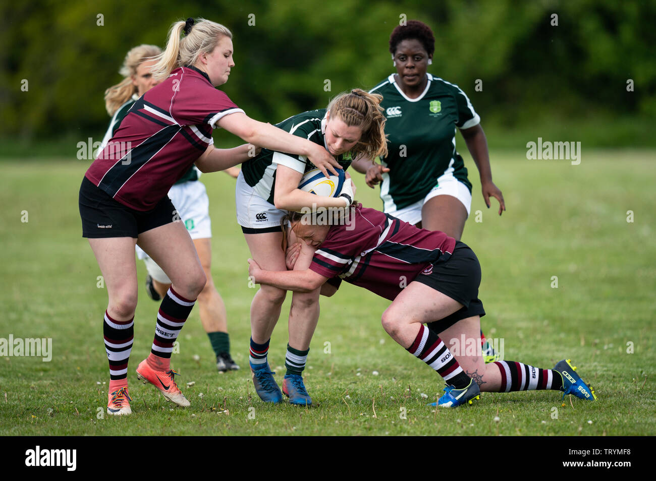 Dorset & Wilts Women's RFU v Somerset Women's RFU, Sun 12th May 2019. Warminster RFU, Wiltshire, England. Stock Photo