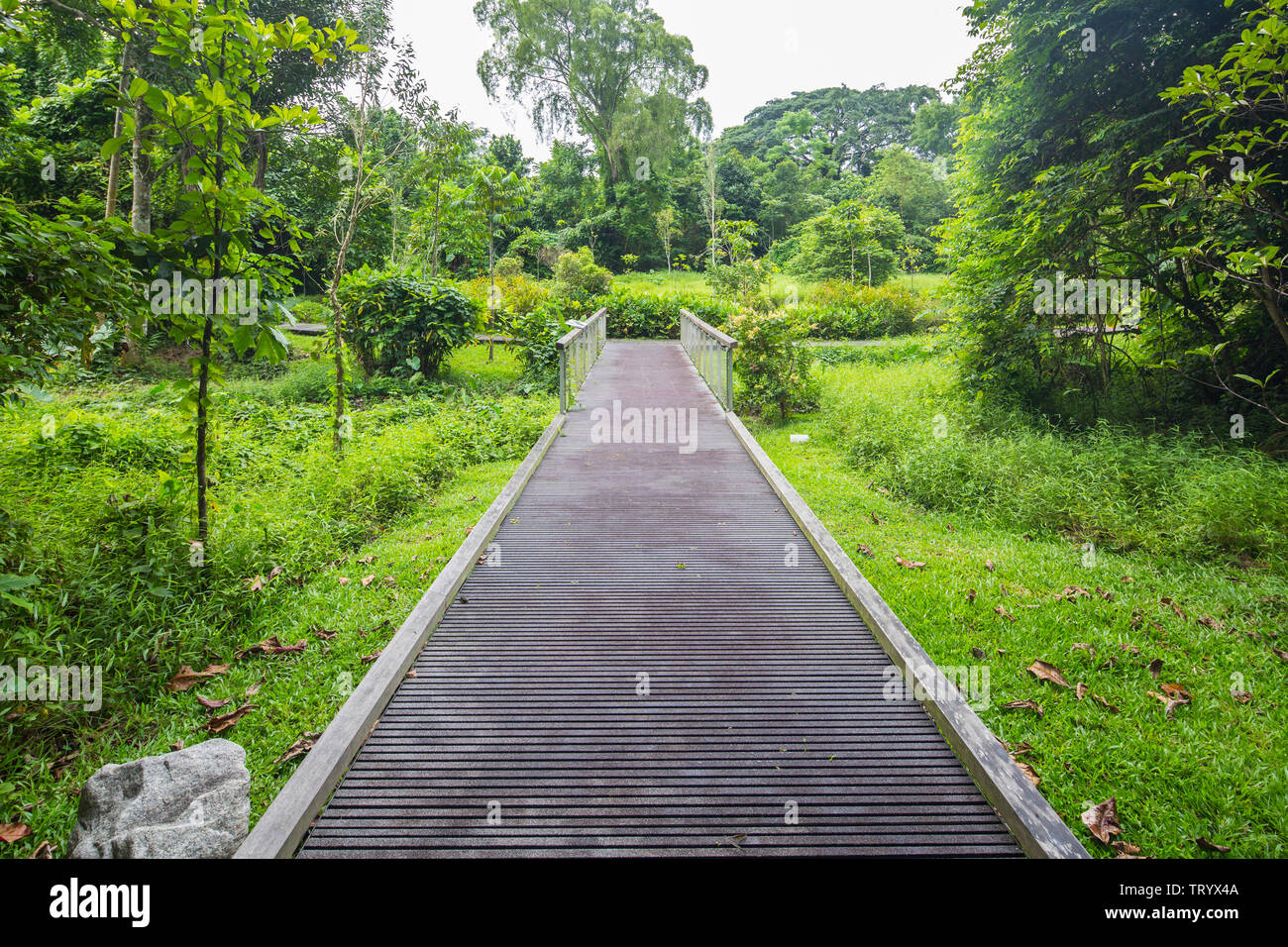 Windsor Nature Park In Singapore Stock Photo Alamy