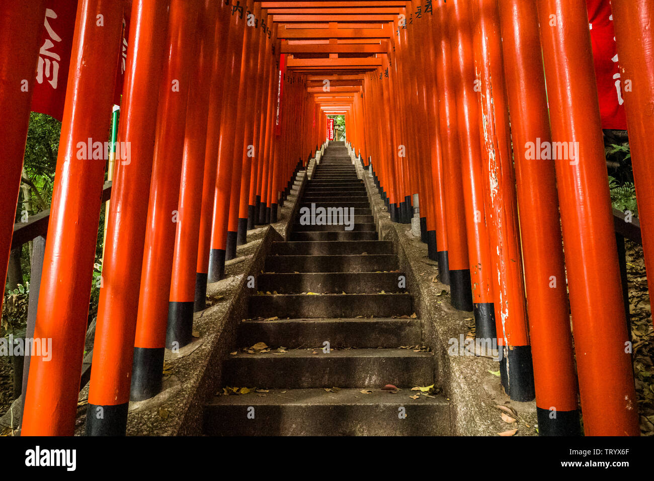 Torii, gates at a Shinto shrine, in Tokyo Stock Photo