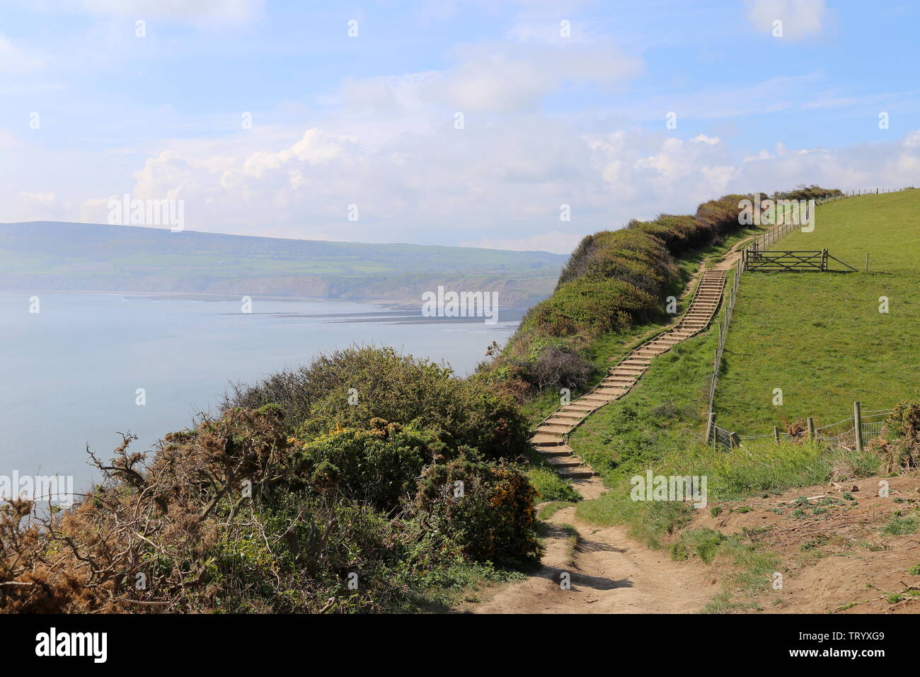 Cleveland Way at Bay Ness, north of Robin Hood's Bay, Borough of Scarborough, North Yorkshire, England, Great Britain, United Kingdom, UK, Europe Stock Photo