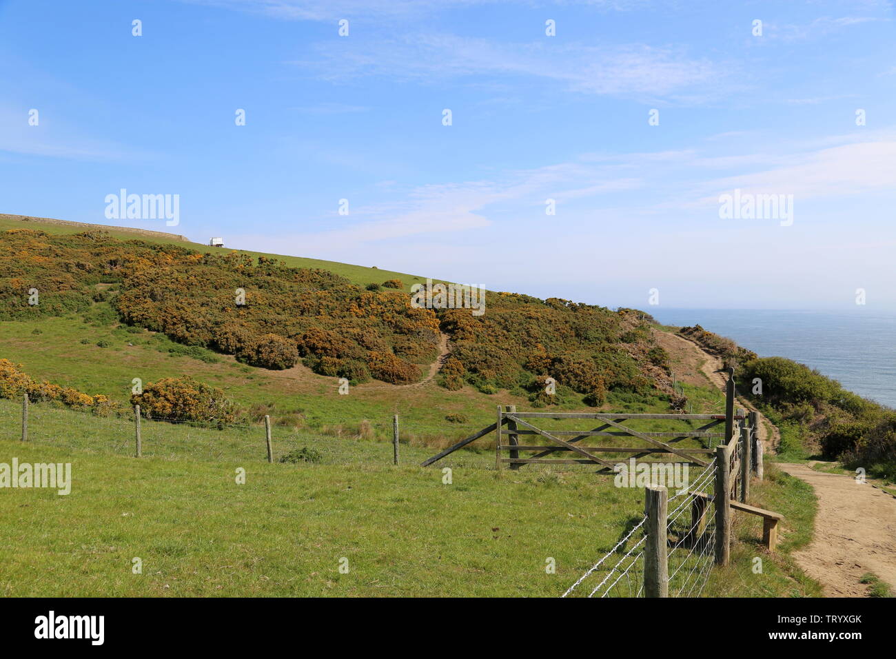 Cleveland Way at Bay Ness, north of Robin Hood's Bay, Borough of Scarborough, North Yorkshire, England, Great Britain, United Kingdom, UK, Europe Stock Photo