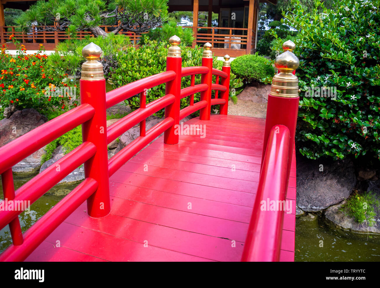 Japanese gardens in Monaco in summertime Stock Photo Alamy