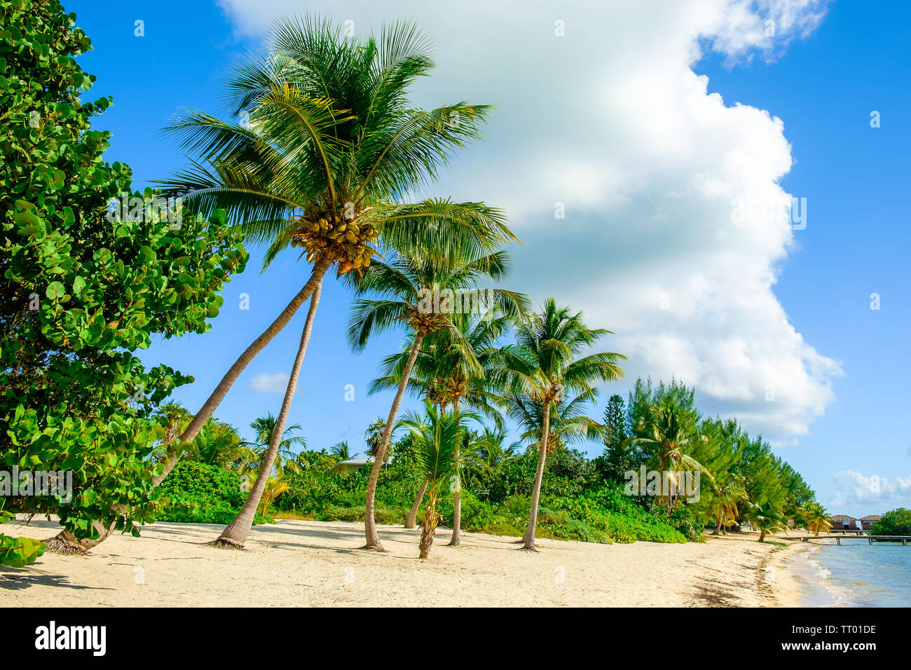Cayman islands beach hi-res stock photography and images - Alamy