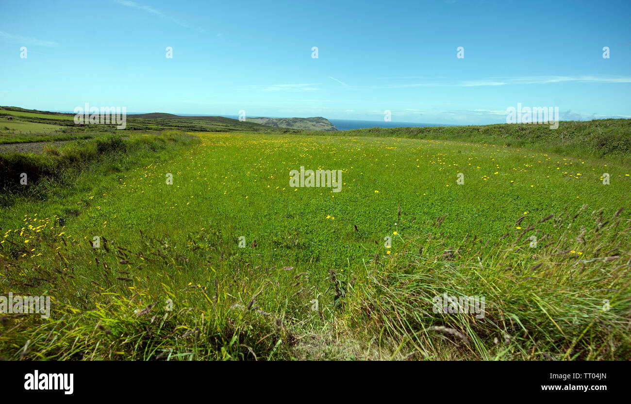 Cregneash village, Isle of Man, British Isles Stock Photo - Alamy