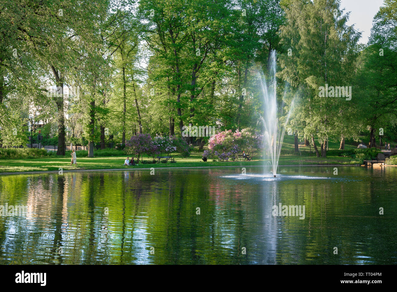 Slottsparken Oslo, view in summer of the lake in the Royal Palace park (Slottsparken) in Oslo city center, Norway. Stock Photo