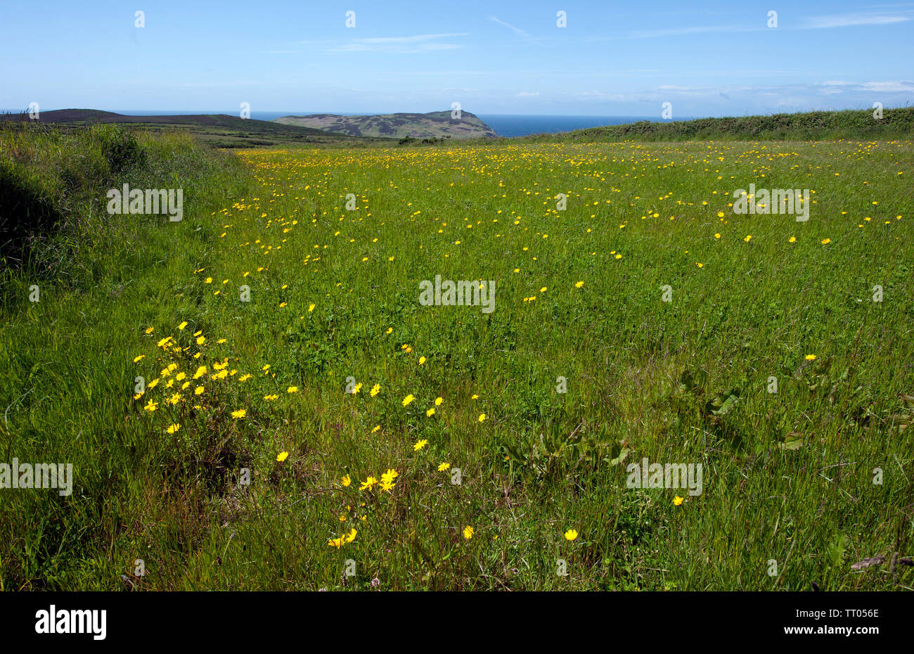 Cregneash village, Isle of Man, British Isles Stock Photo - Alamy