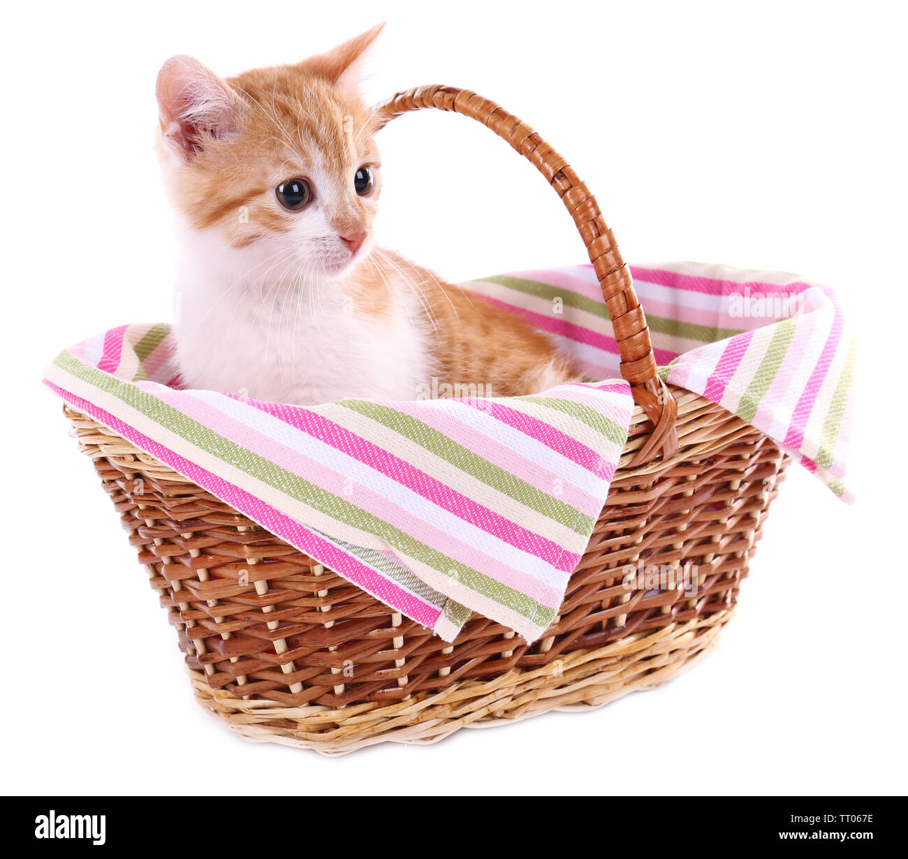 Little kitten in wicker basket isolated on white Stock Photo - Alamy