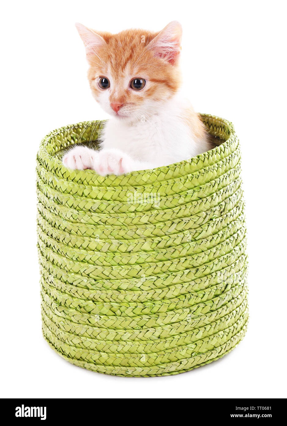 Little kitten in wicker basket isolated on white Stock Photo - Alamy