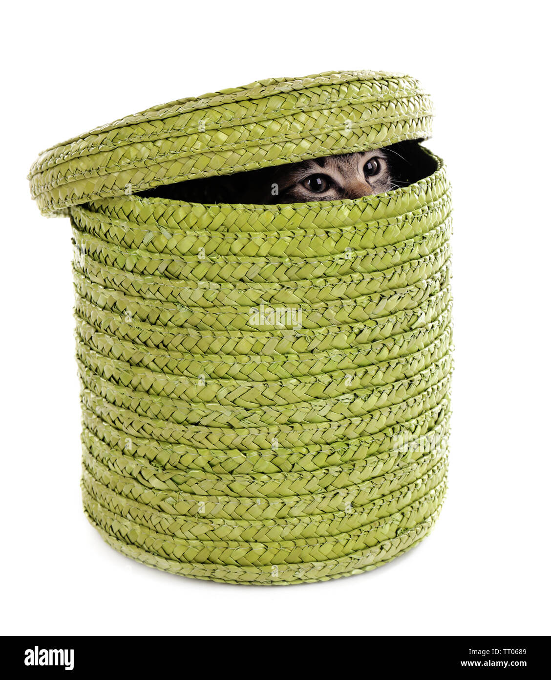 Little kitten in wicker basket isolated on white Stock Photo - Alamy