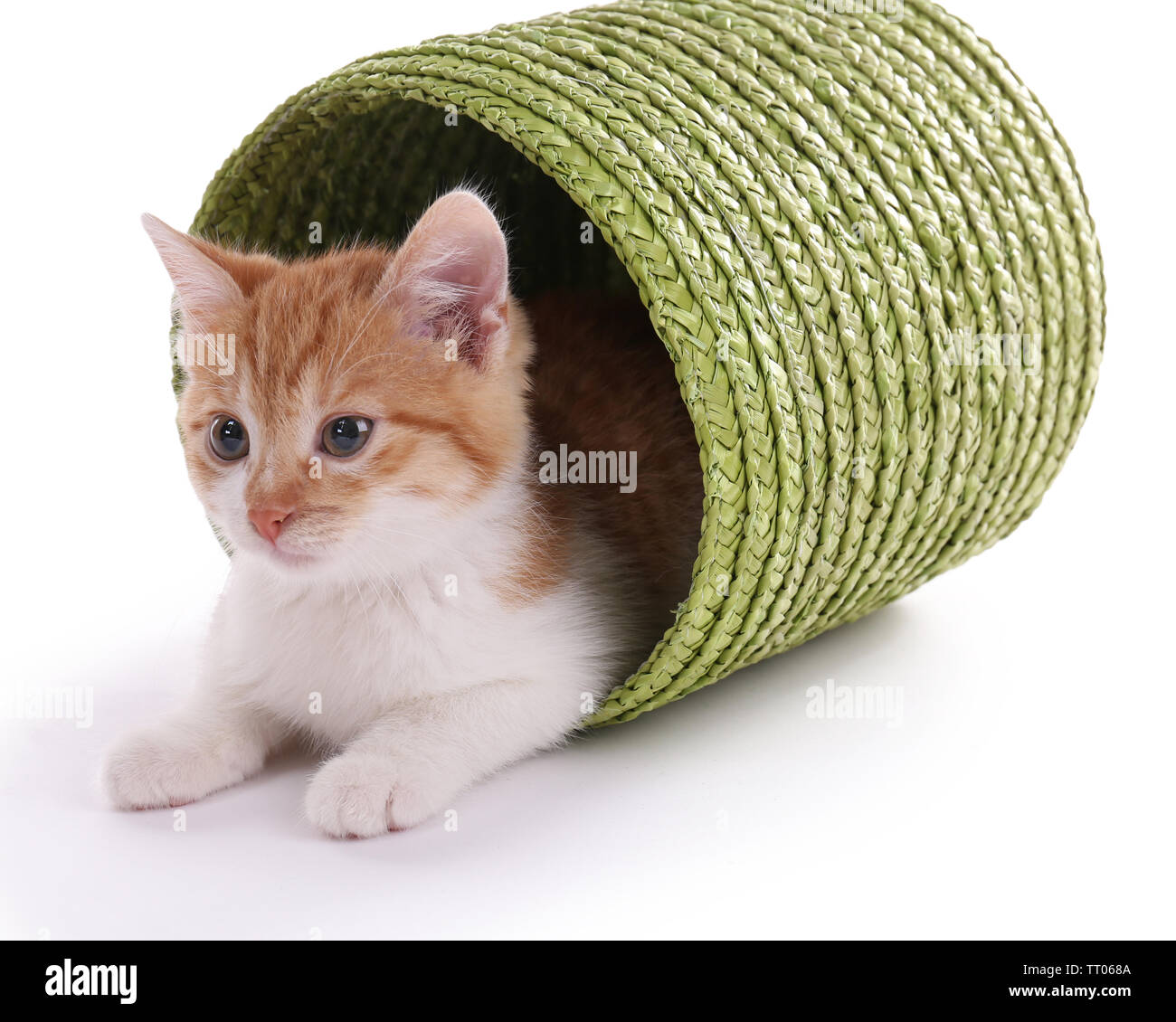 Little kitten in wicker basket isolated on white Stock Photo - Alamy