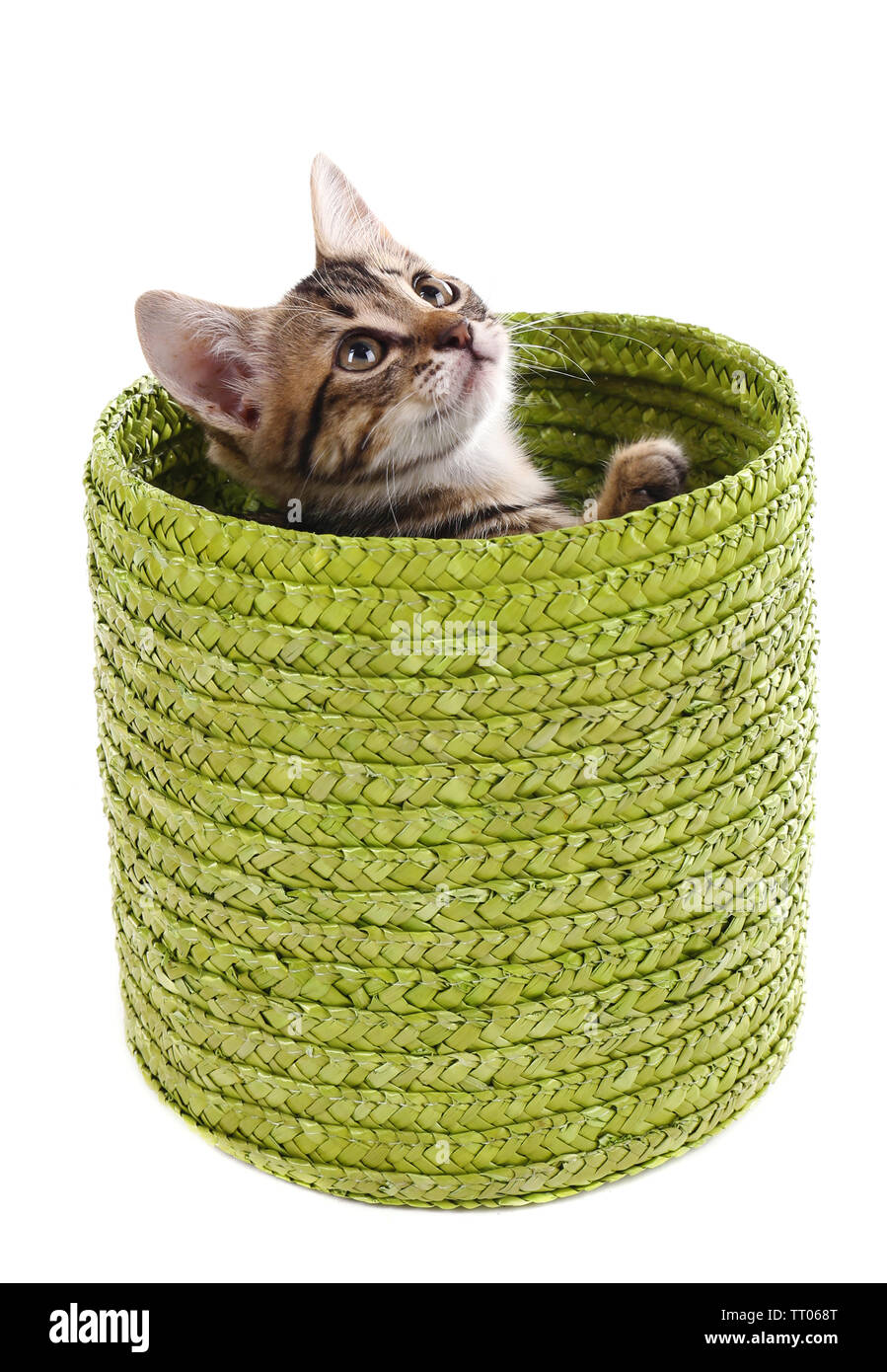 Little kitten in wicker basket isolated on white Stock Photo - Alamy
