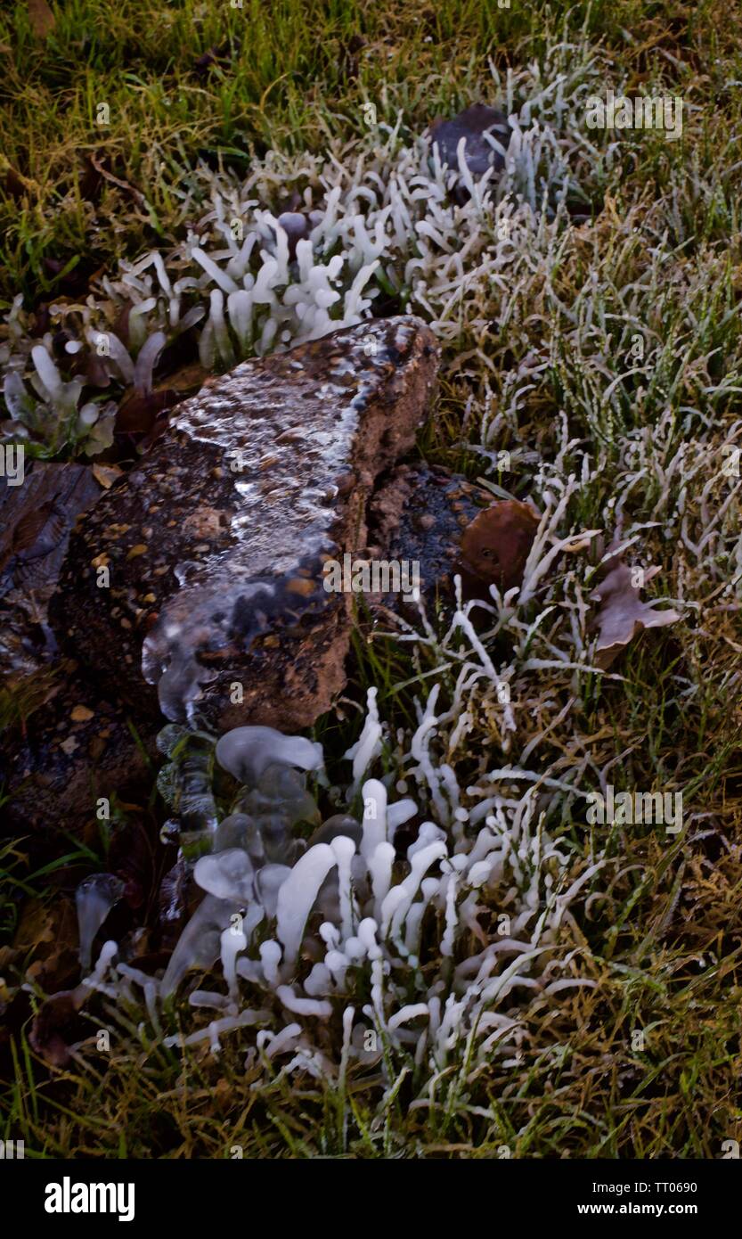 Ice formed around Leak on Garden Hose, Canyon, Texas Stock Photo