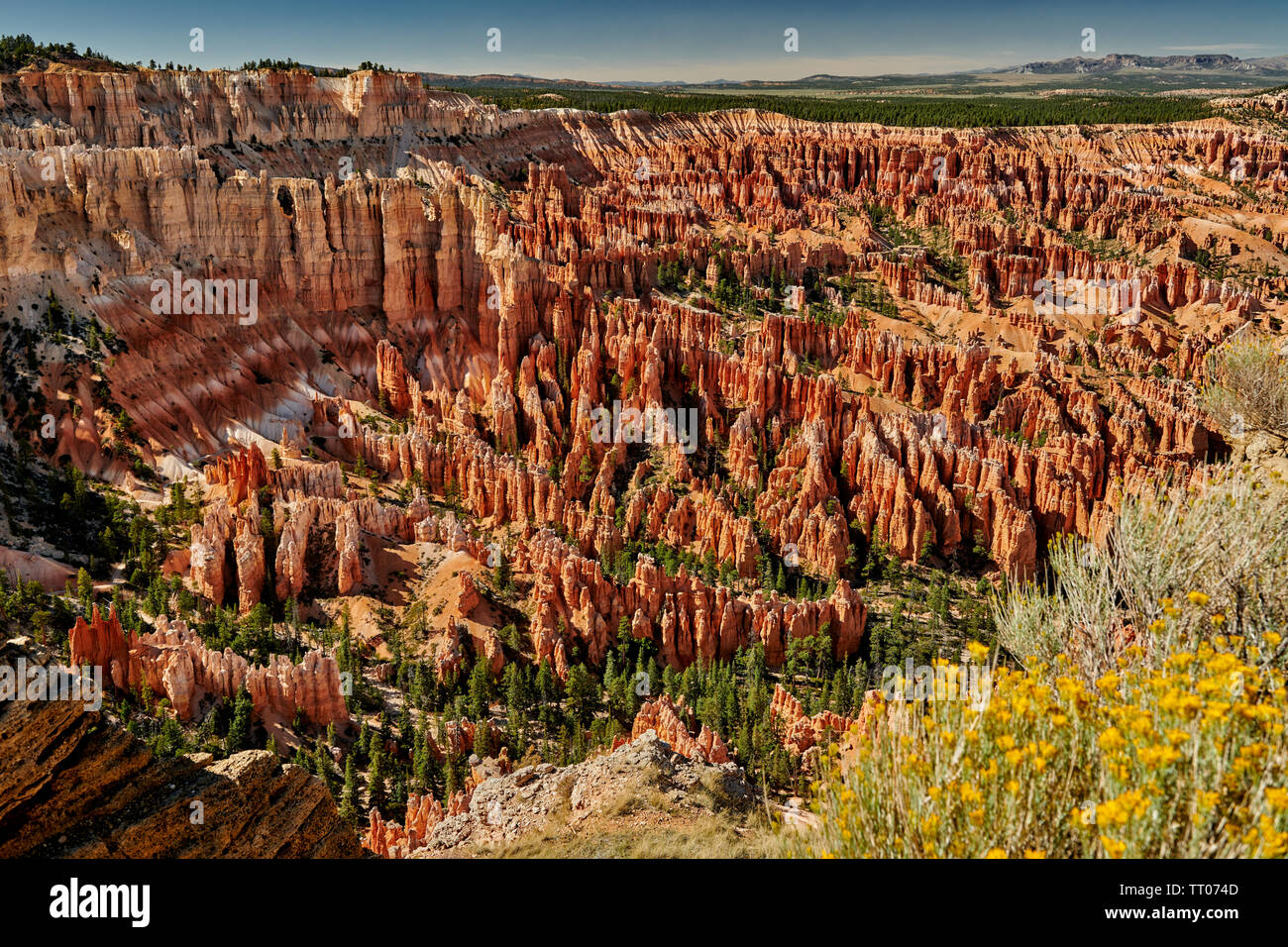 Bryce Point, Bryce Canyon National Park, Utah, USA, North America Stock 