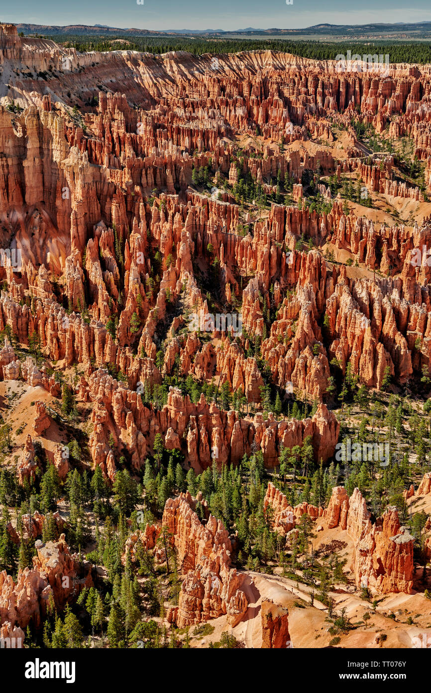 Bryce Point, Bryce Canyon National Park, Utah, USA, North America Stock 