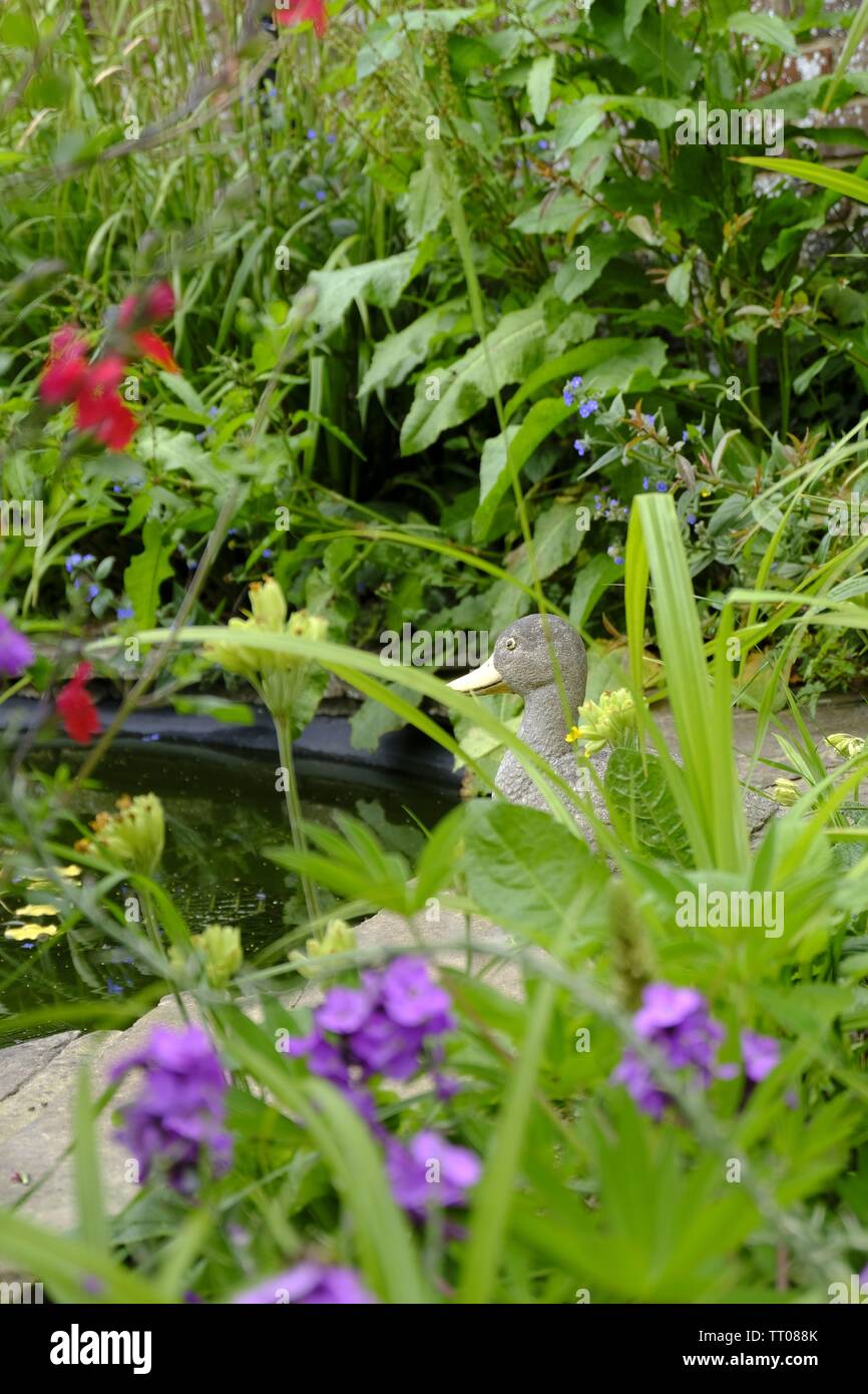 West Sussex, UK. Well established garden pond with stone duck ornament sitting alongside it. Stock Photo