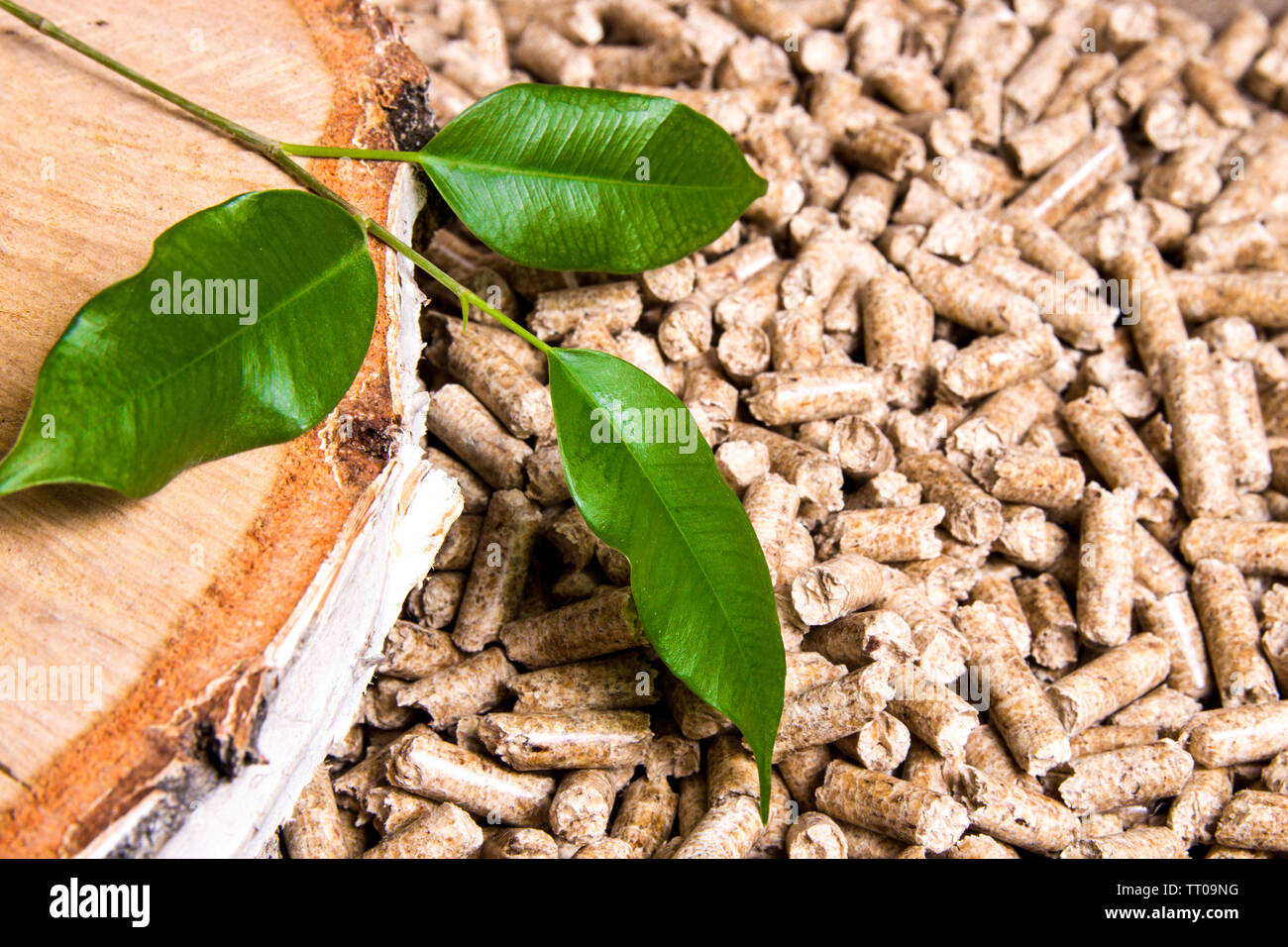 Wood pellets, birch and twig with leaves. Biomass Pellets- cheap energy ...