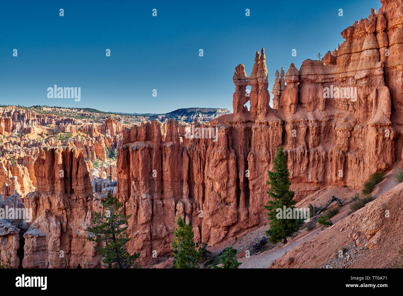 Bryce Canyon National Park, Peekaboo trail, Utah, USA, North America 