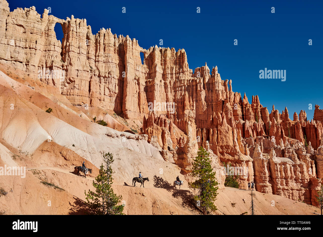 Bryce Canyon National Park, Peekaboo trail, Utah, USA, North America 