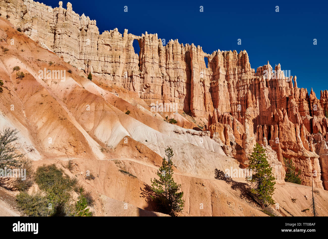 Bryce Canyon National Park, Peekaboo trail, Utah, USA, North America 