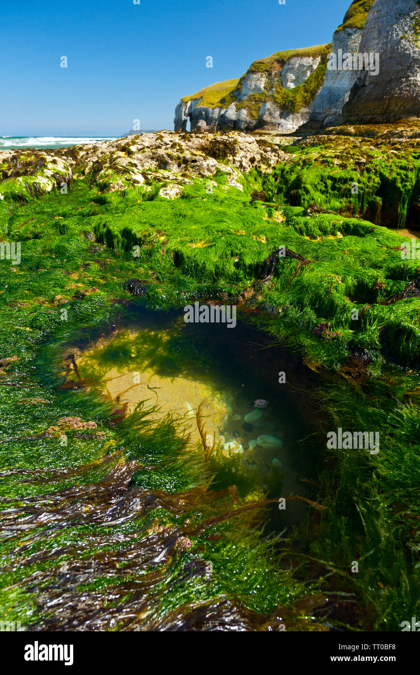 White Rocks Ireland White Rocks Cliffs. Causeway Coastal Route. Antrim County, Northern ...
