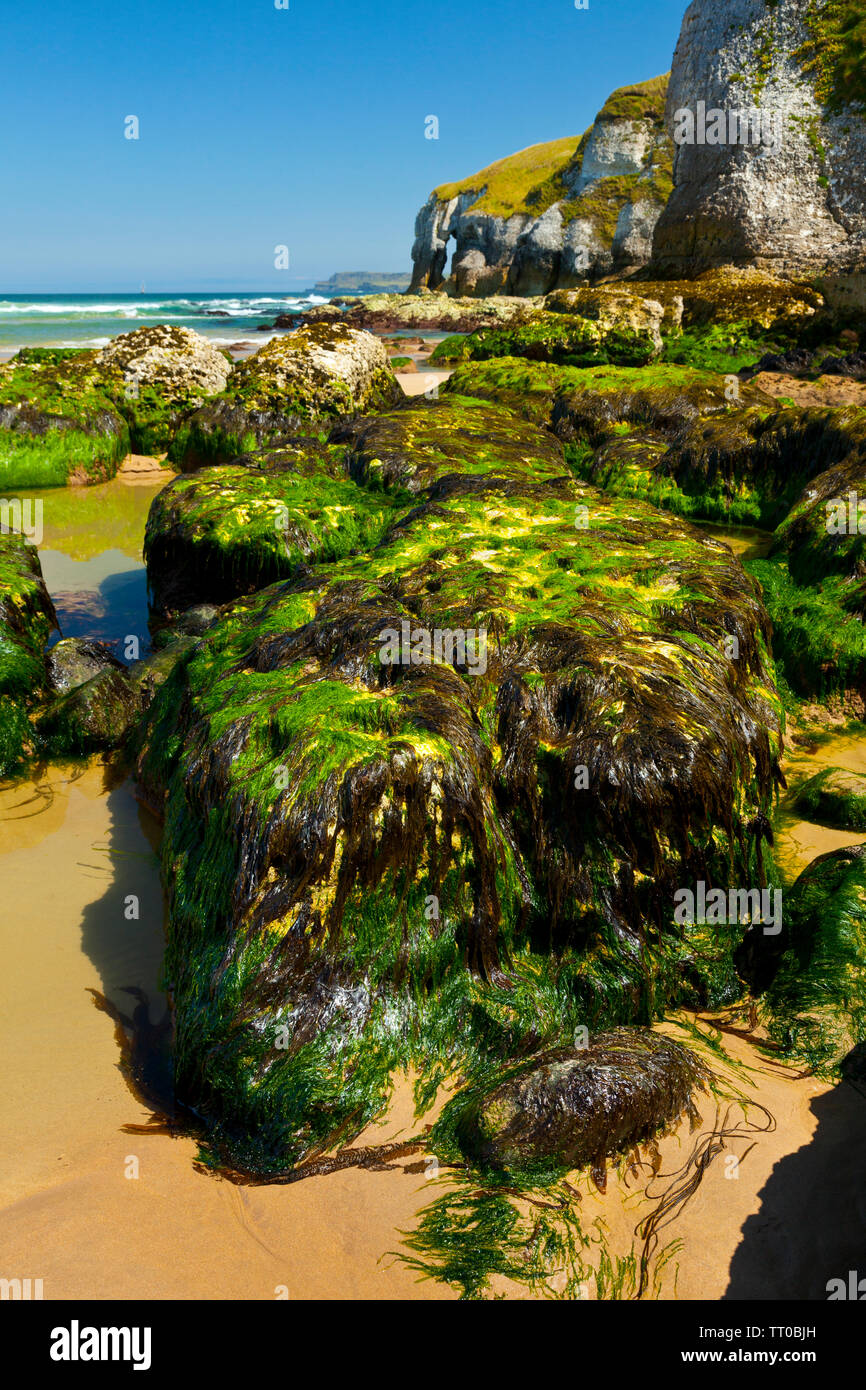 White Rocks Ireland White Rocks Cliffs. Causeway Coastal Route. Antrim County, Northern ...