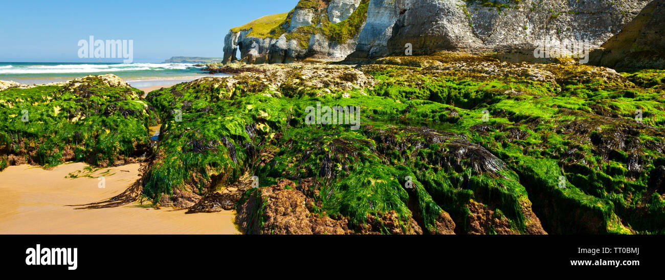 White Rocks Ireland White Rocks Cliffs. Causeway Coastal Route. Antrim County, Northern ...