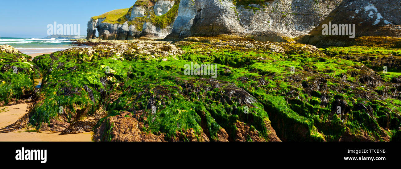 White Rocks Ireland White Rocks Cliffs. Causeway Coastal Route. Antrim County, Northern ...