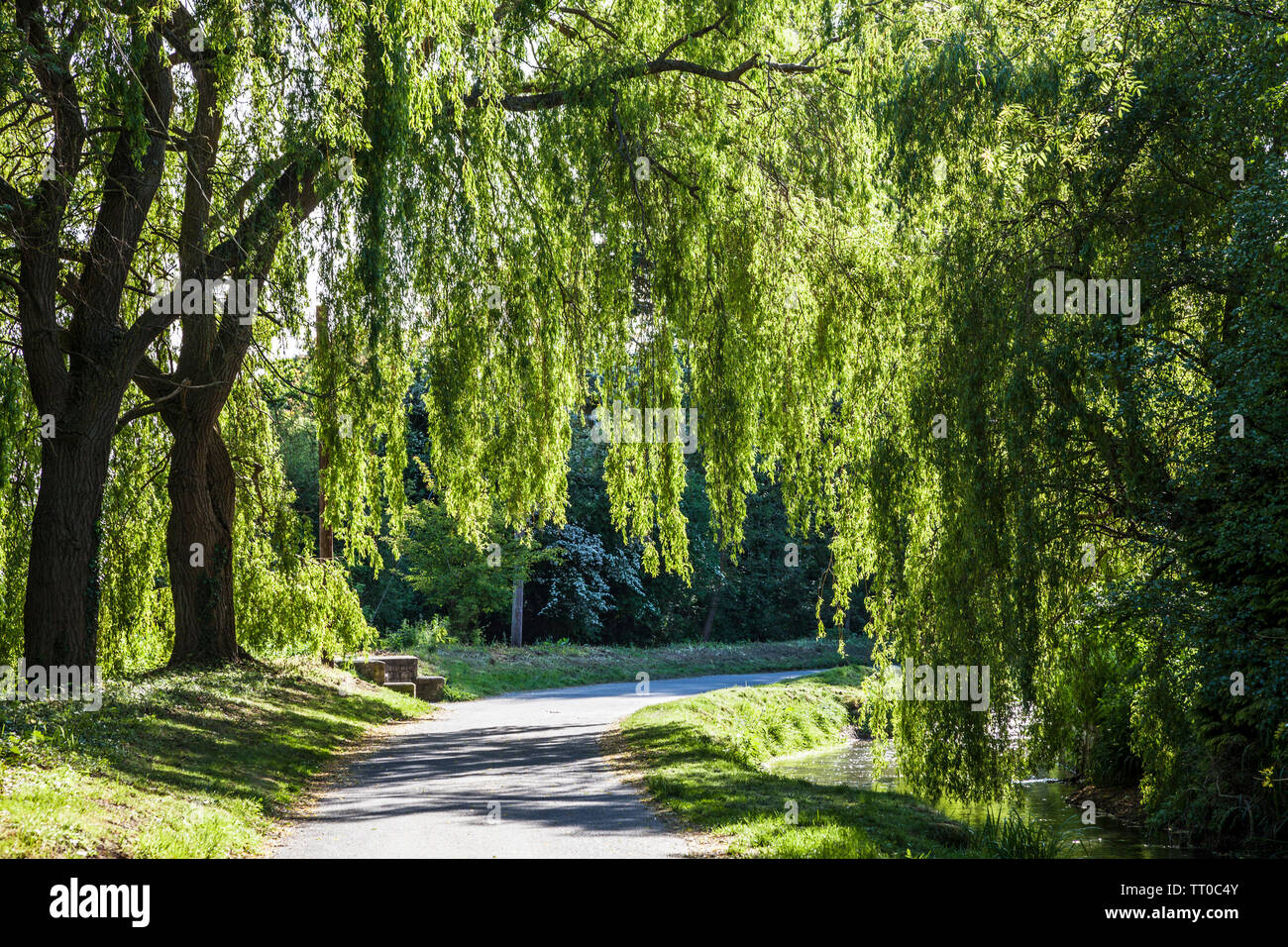 A small lane known as the Bow Wow running alongside the River Churn in the Cotswold village of South Cerney in Gloucestershire. Stock Photo