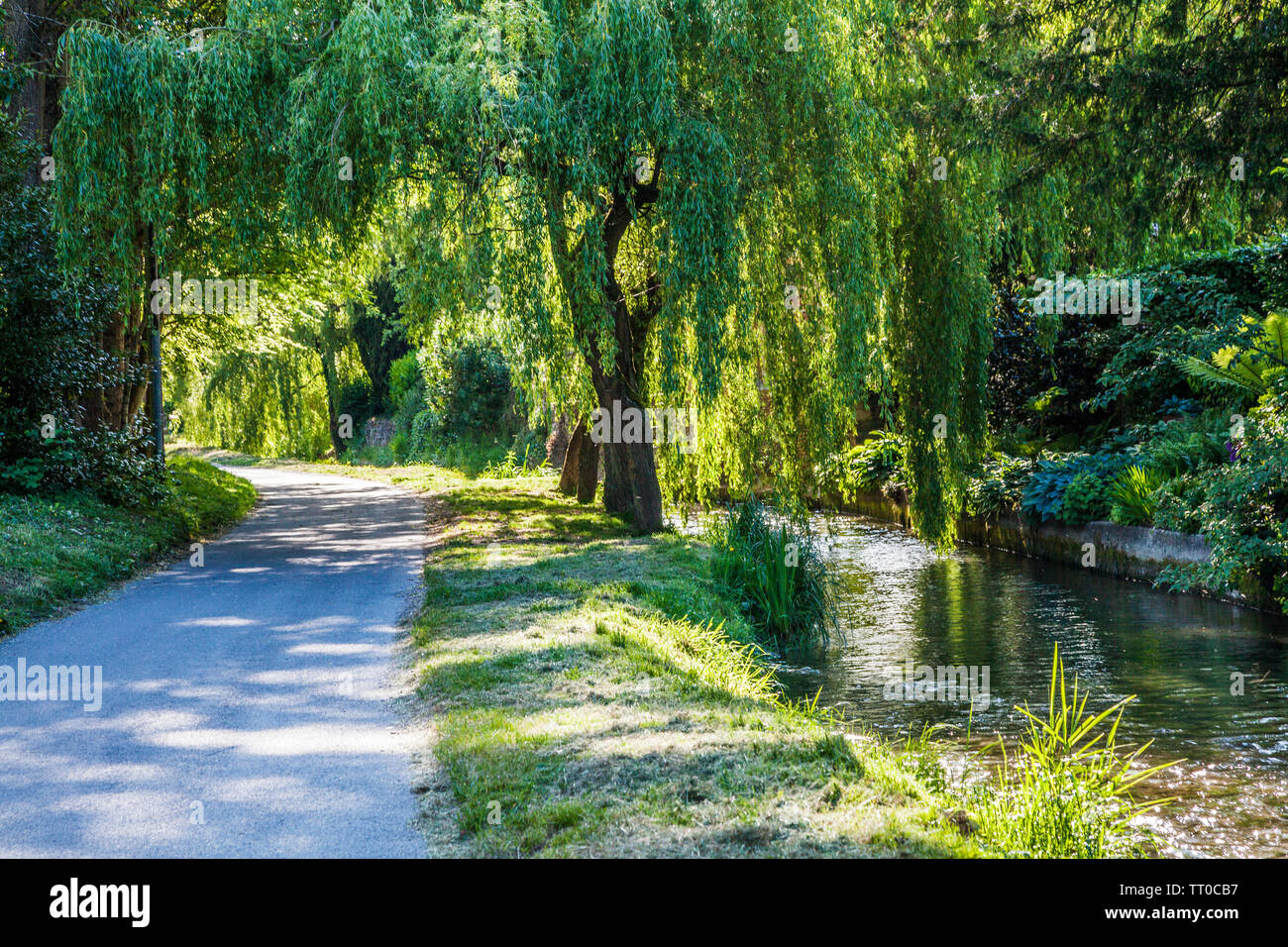 A small lane known as the Bow Wow running alongside the River Churn in the Cotswold village of South Cerney in Gloucestershire. Stock Photo