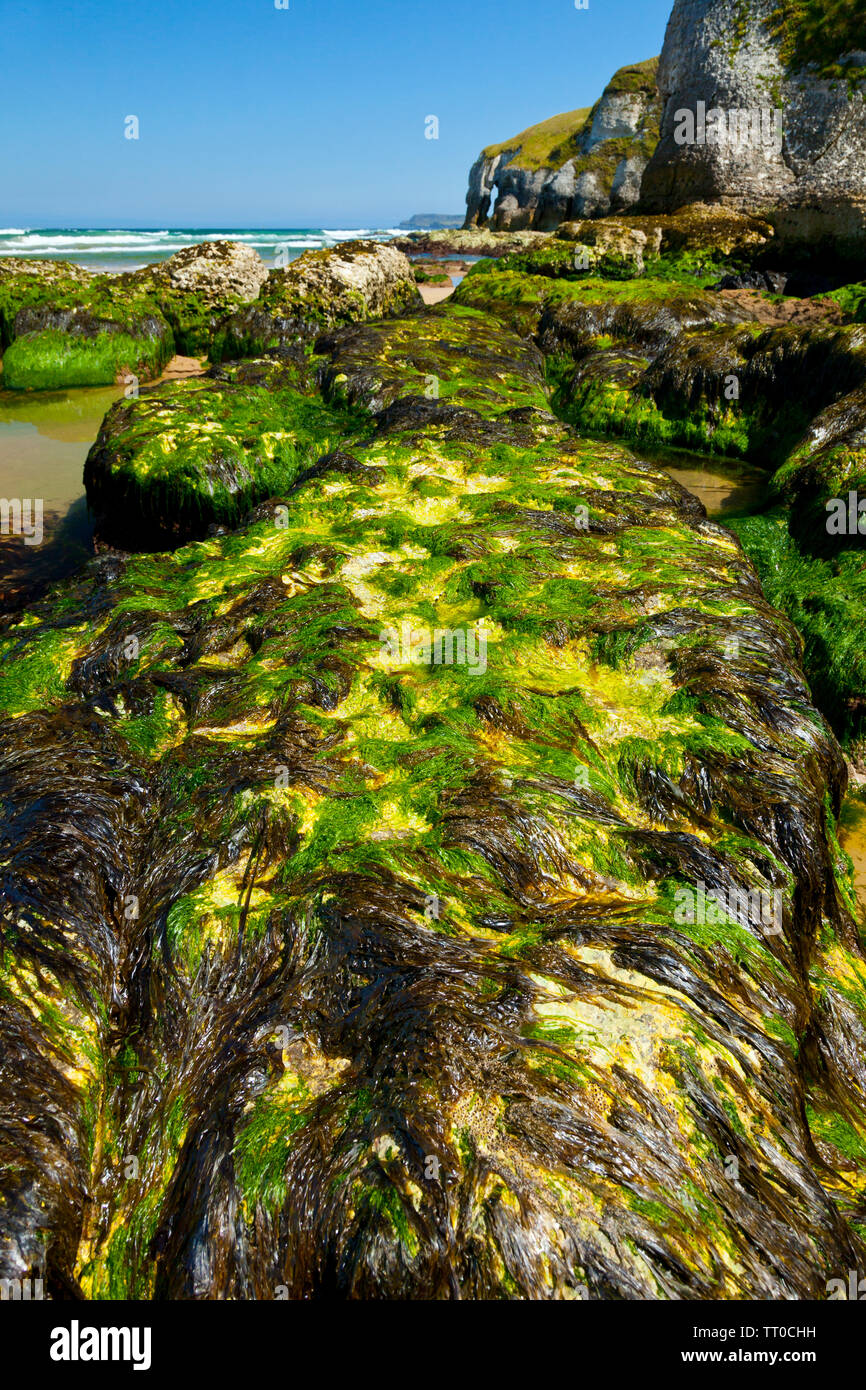White Rocks Ireland White Rocks Cliffs. Causeway Coastal Route. Antrim County, Northern ...