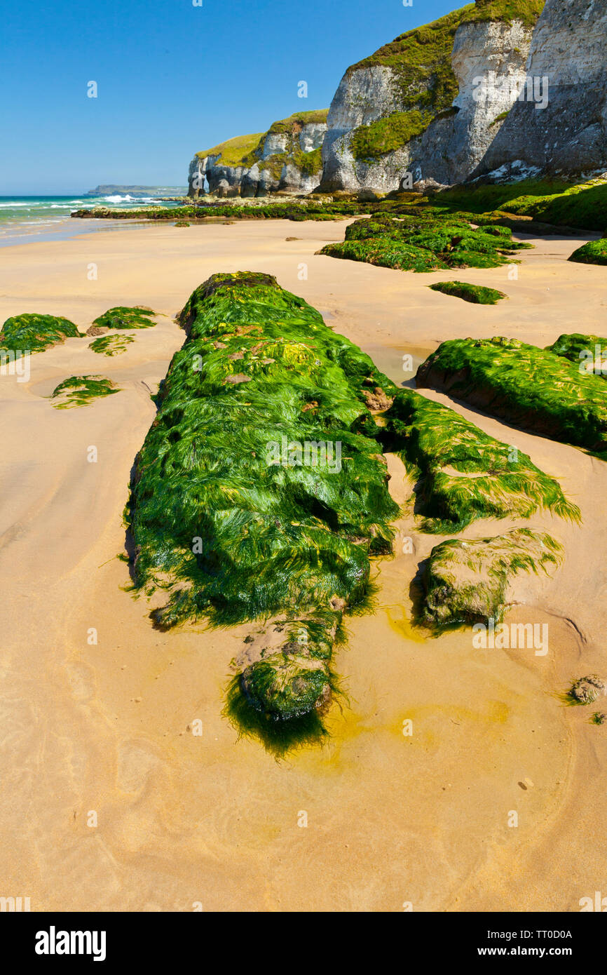 White Rocks Ireland White Rocks Cliffs. Causeway Coastal Route. Antrim County, Northern ...