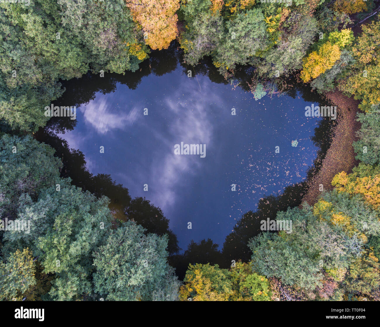 Aerial top view perspective of autumn wild forest lake Stock Photo - Alamy