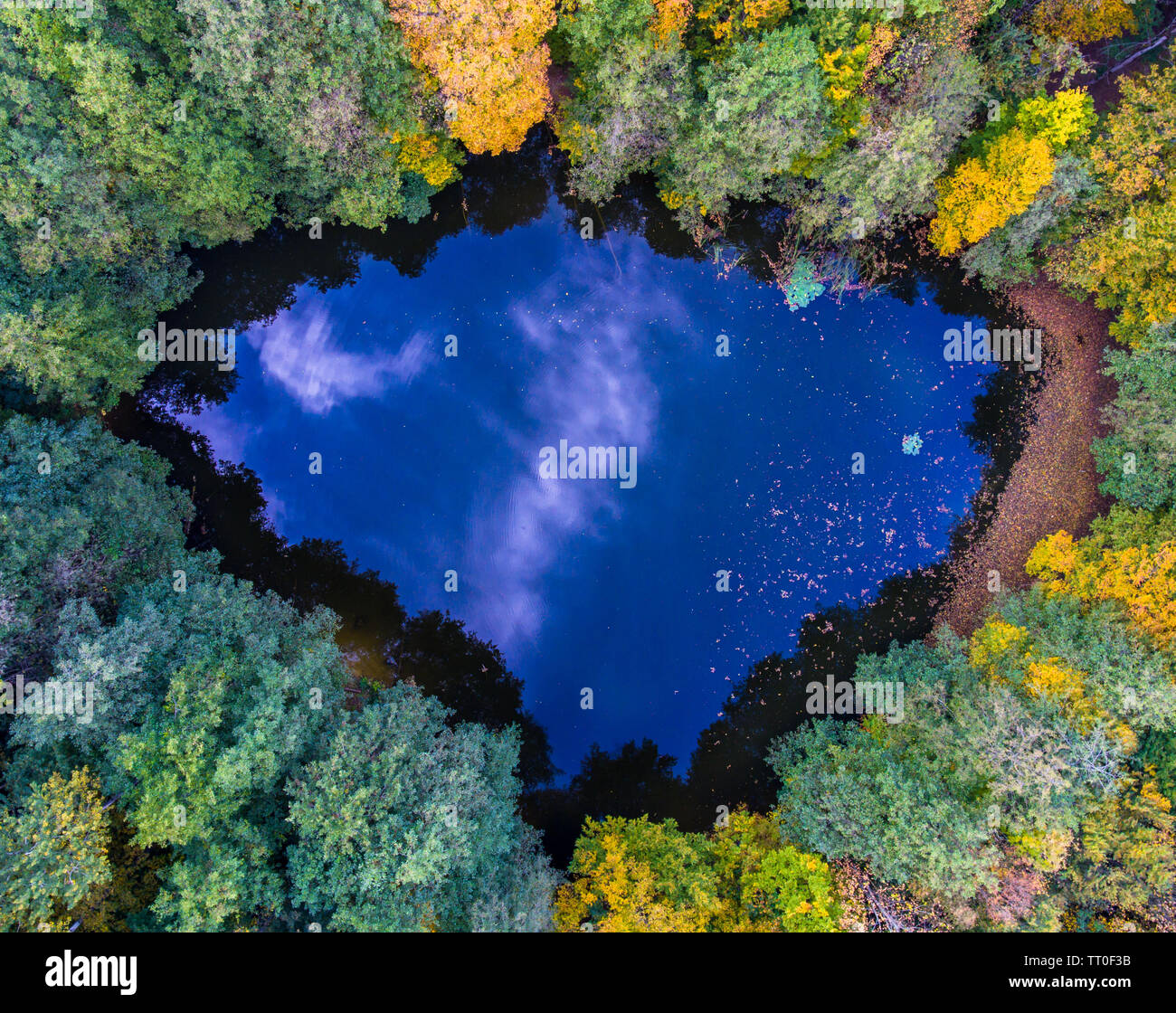 Aerial top view perspective of autumn wild forest lake Stock Photo - Alamy