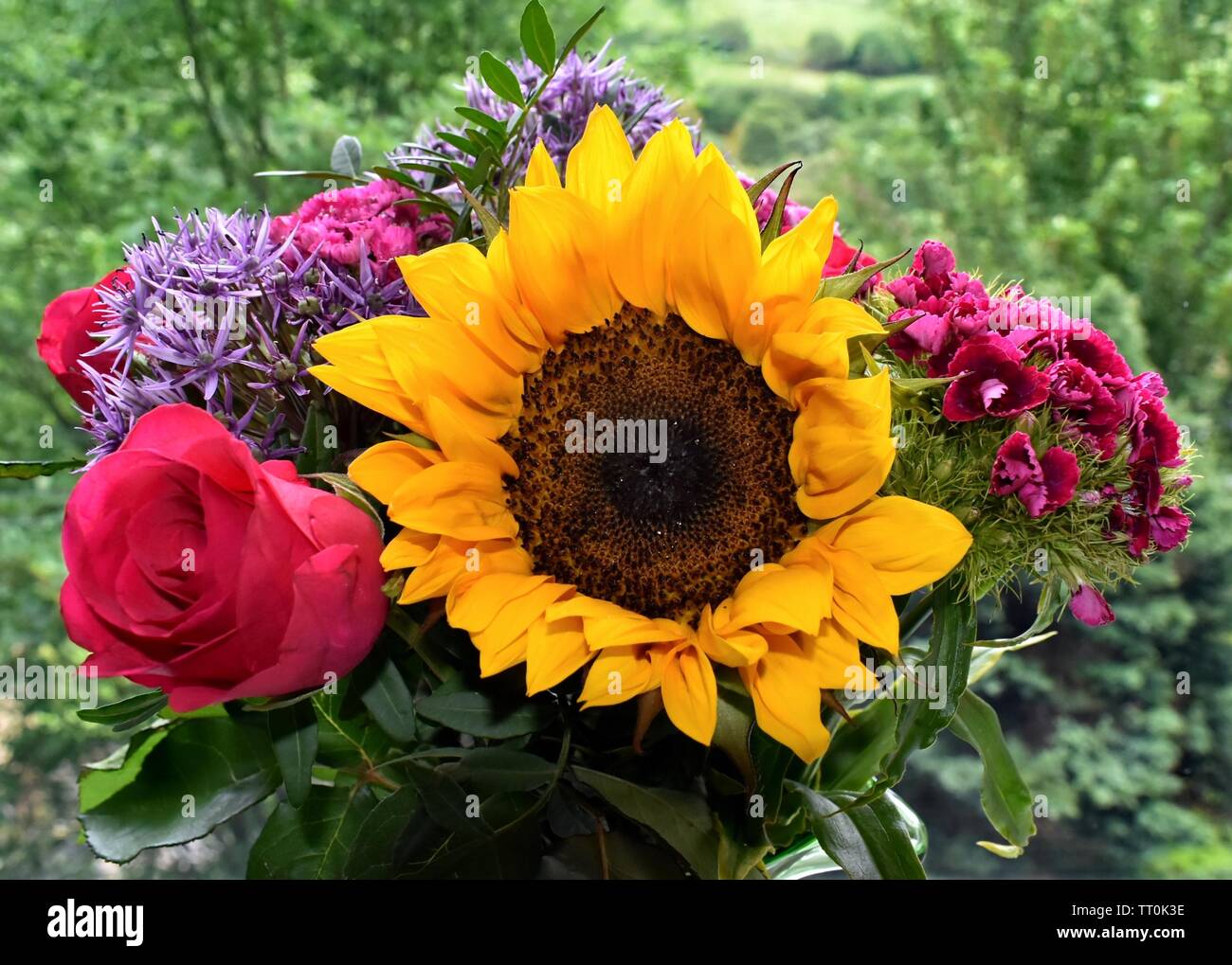 Floral display of sweet Williams, allium, roses with a sunflower. Stock Photo