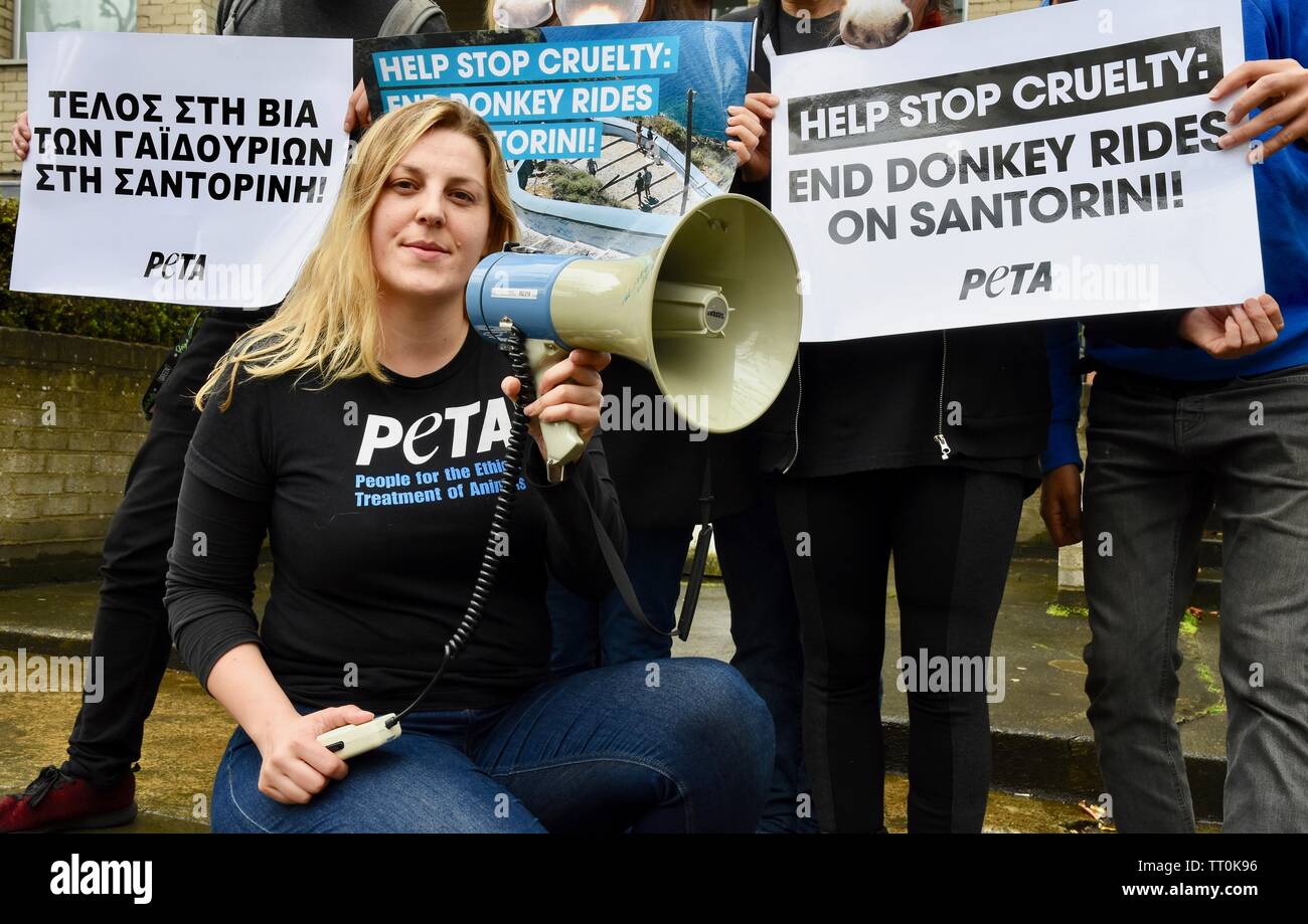 PETA protest against donkey cruelty on Santorini. The Greek Embassy, Holland Park, London. UK Stock Photo