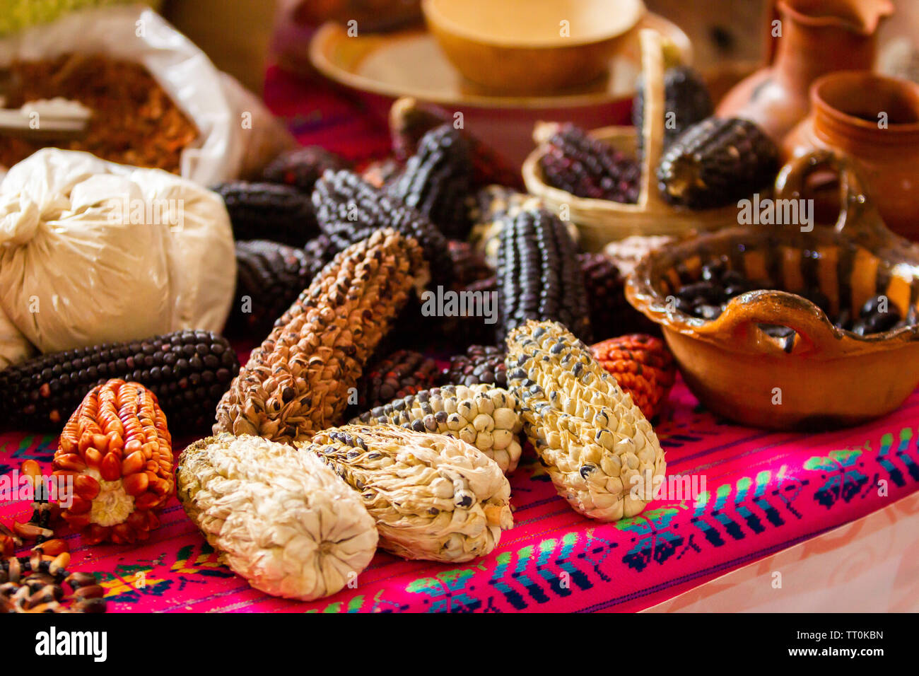 colorful scene of several kind and variations of mexican corn on a wood table, mexican table pink table clothing Stock Photo