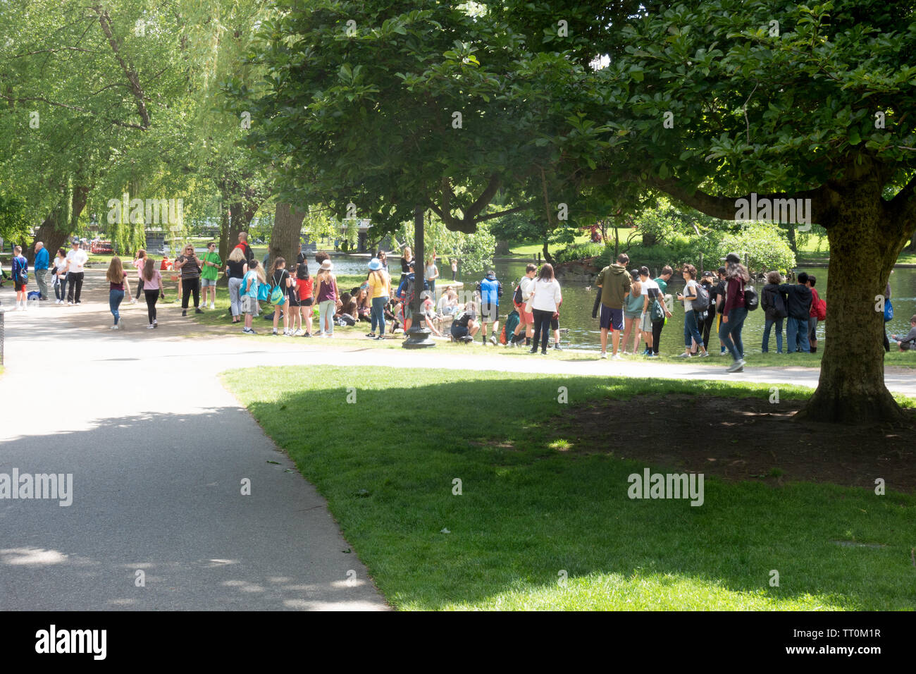 People of all age groups enjoying a bright Spring afternoon with adults and children by the Lagoon in the Boston Public Garden Massachusetts Stock Photo