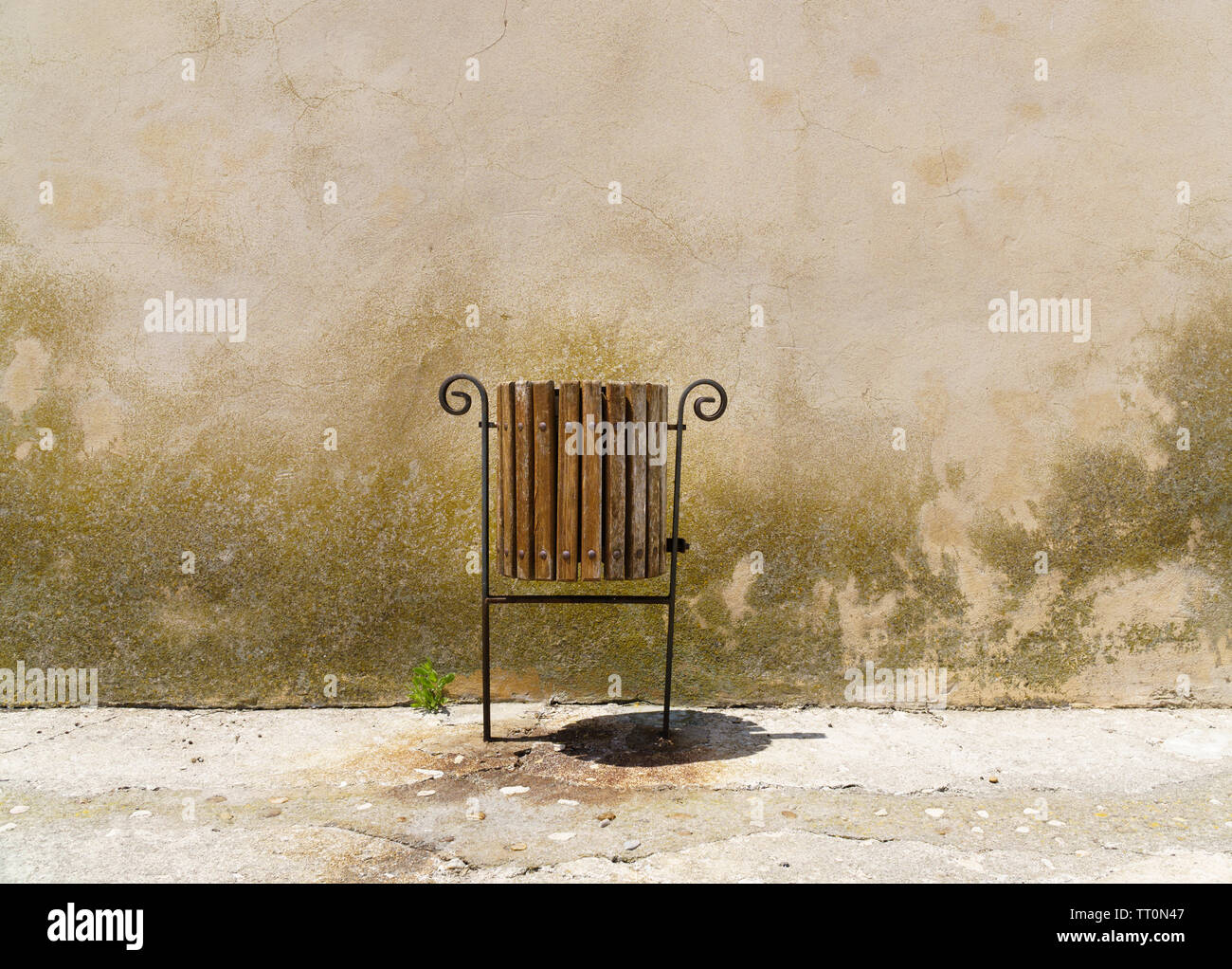 Solitary trashcan can with ornate frame next to a new sprouting plant stands out from a weathered wall, background with copy space - horizontal landsc Stock Photo