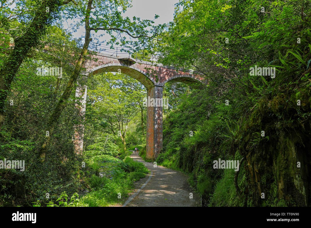 Talyllyn steam train dolgoch dolgoch hires stock photography and