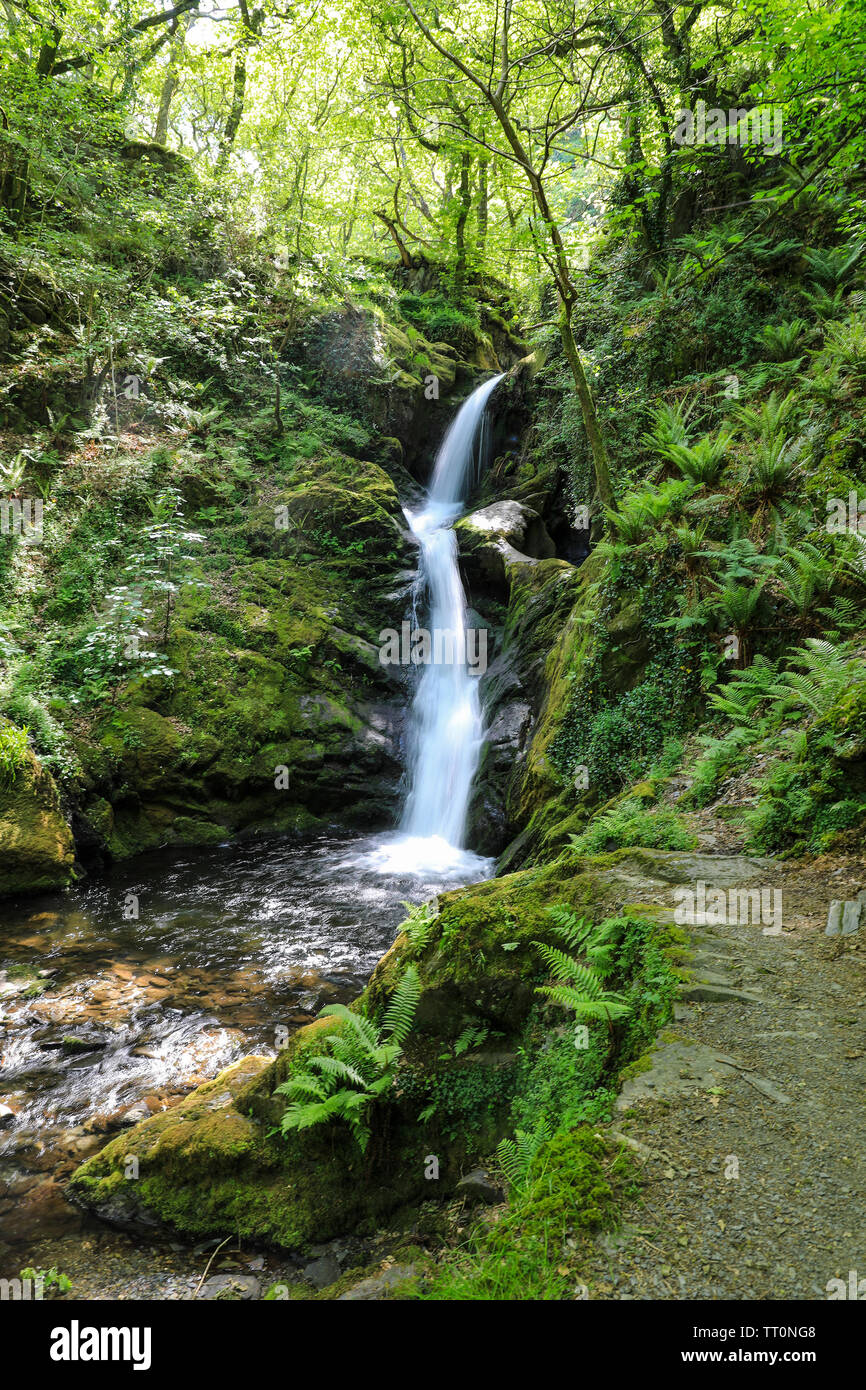 The Dolgoch falls near to the Talyllyn Railway, the first preserved