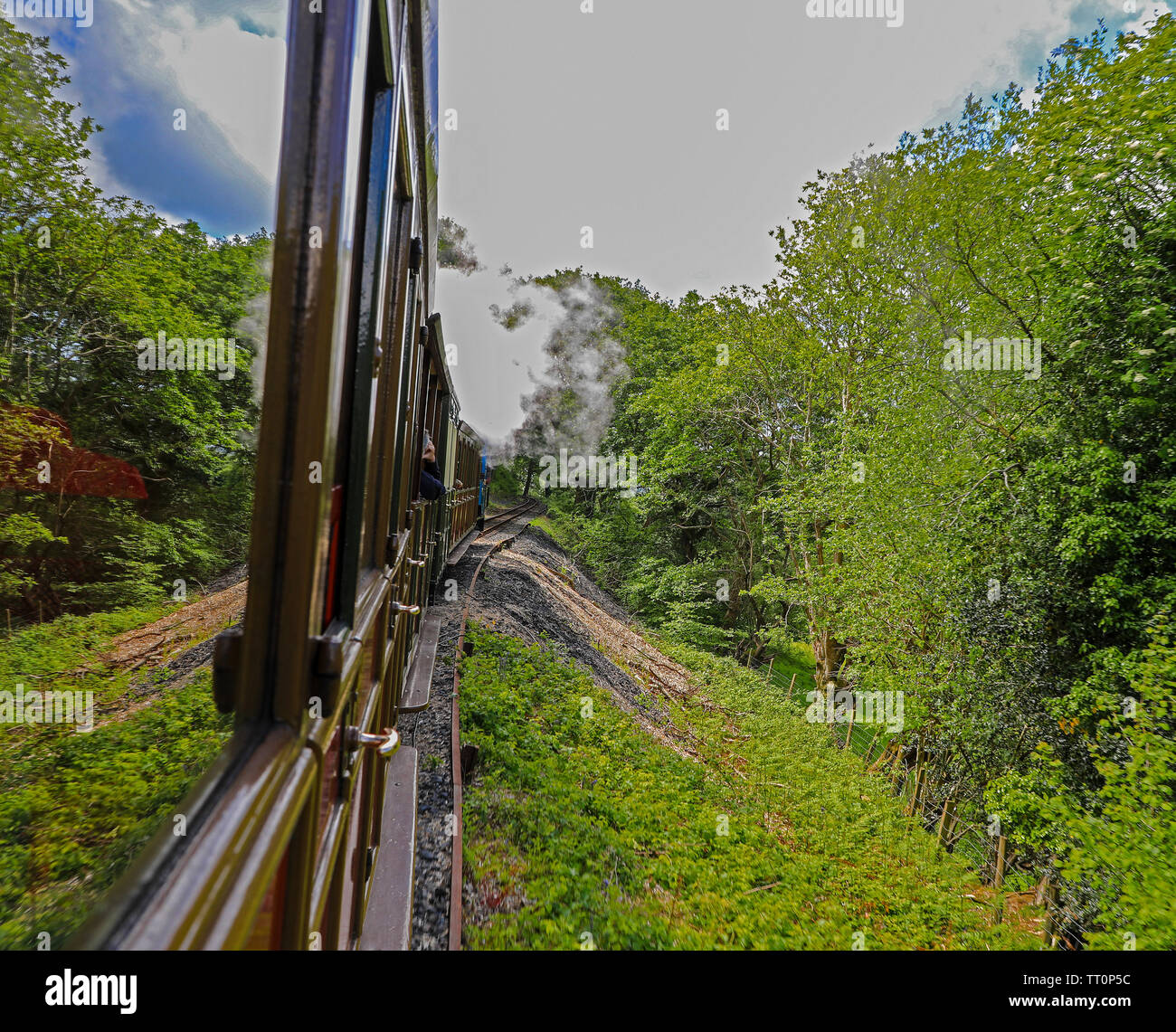 A view from out of the carriage window on the Talyllyn Railway which runs from Tywyn to Nant Gwernol, Gwynedd, Wales, UK Stock Photo