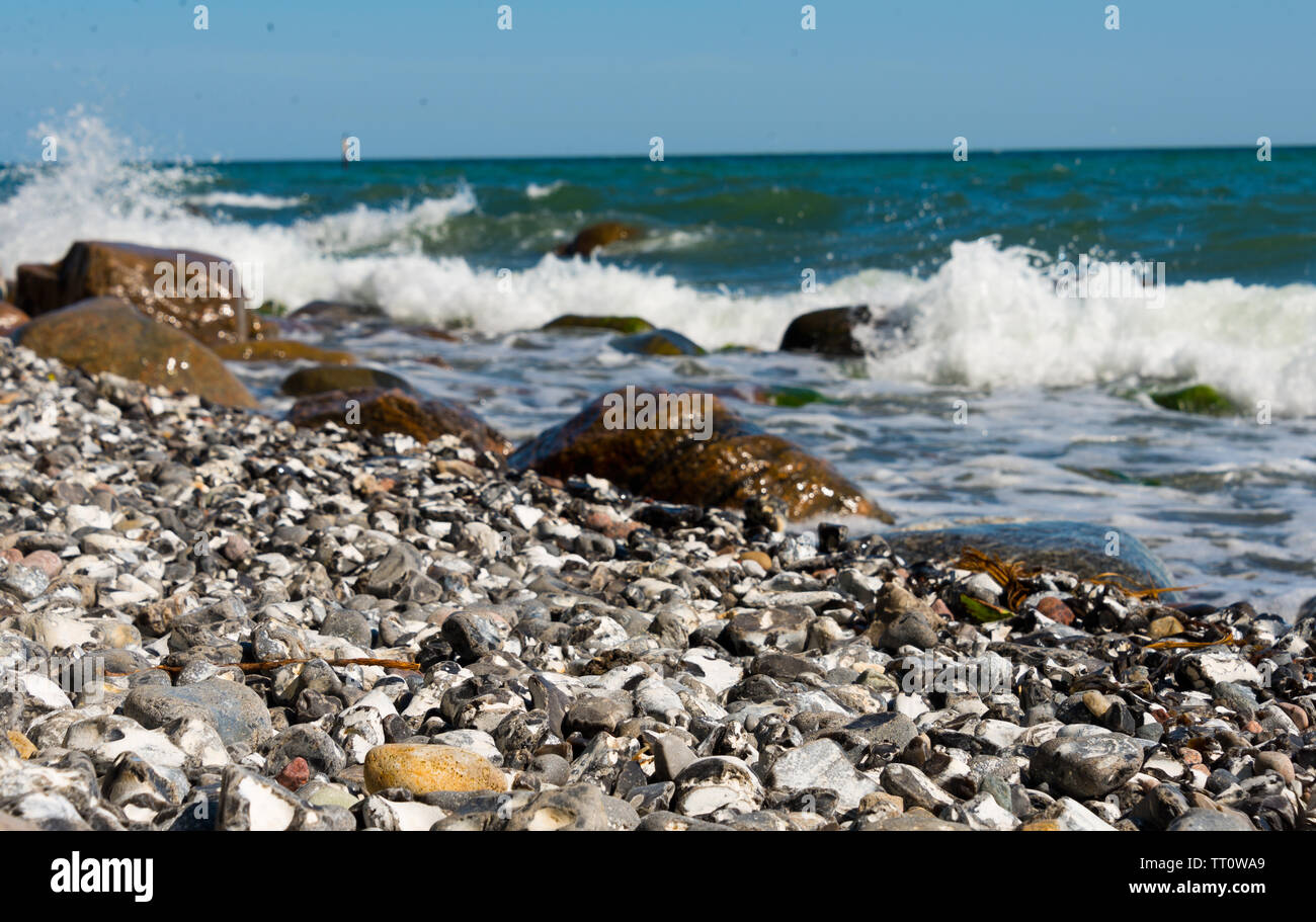flintstone pebbles at beach in ruegen, mecklenburg-west pomerania, germany Stock Photo