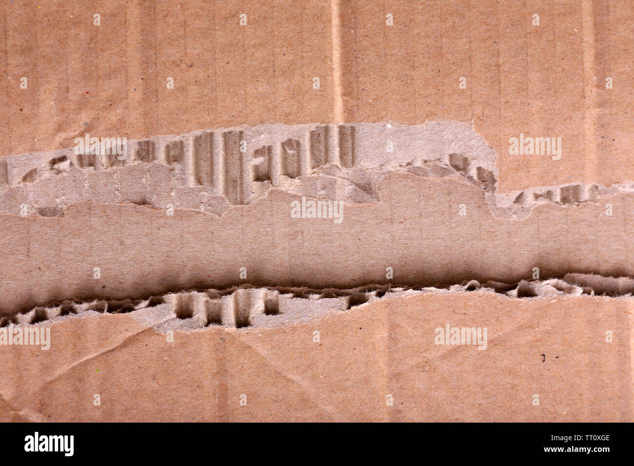 Cardboard for recycling close-up Stock Photo - Alamy