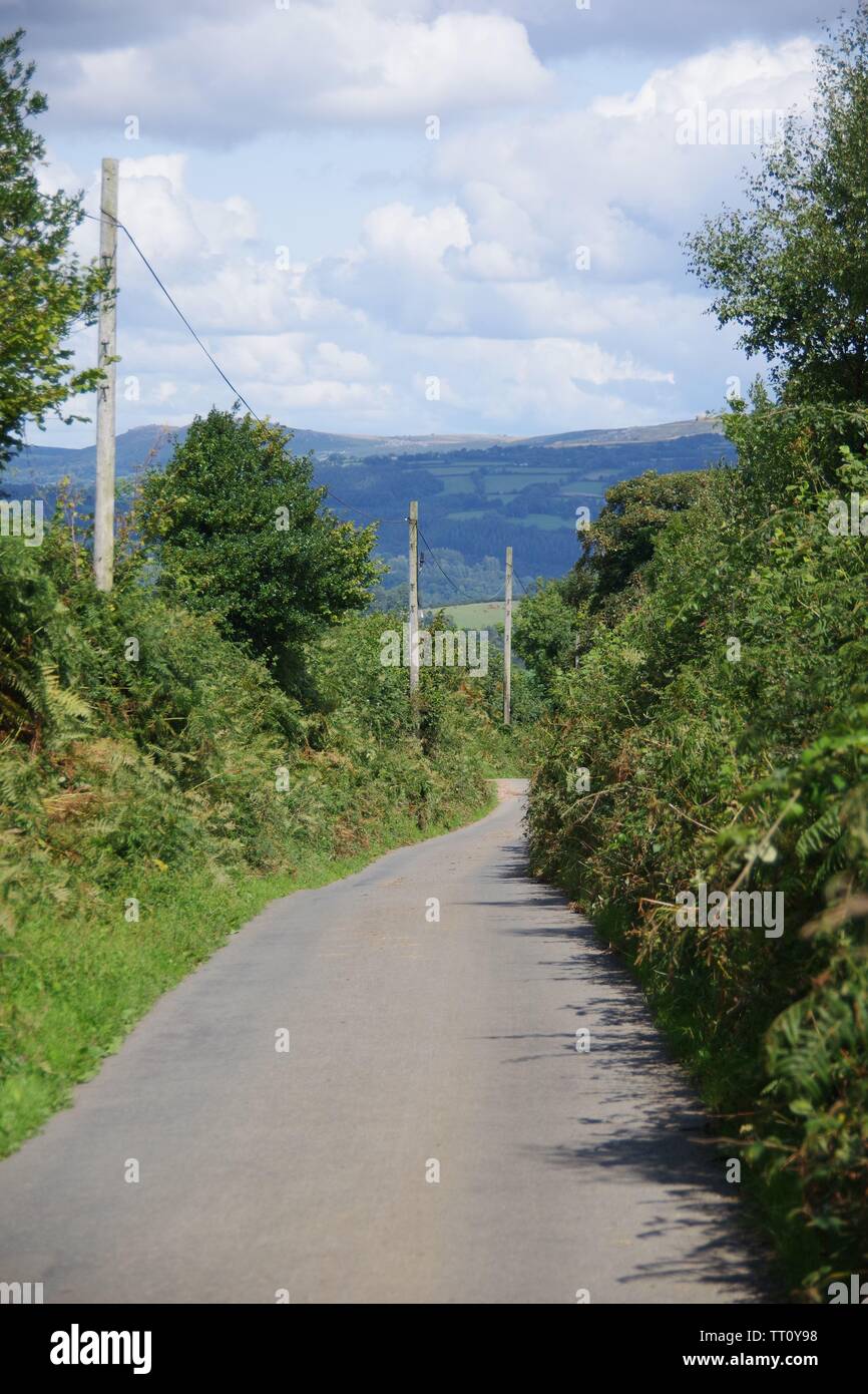 Countryside Road through Pastoral Patchwork Landscape of Fields, Hedgerows and Woods in High Summer. Buckfastleigh, Devon, UK. Stock Photo